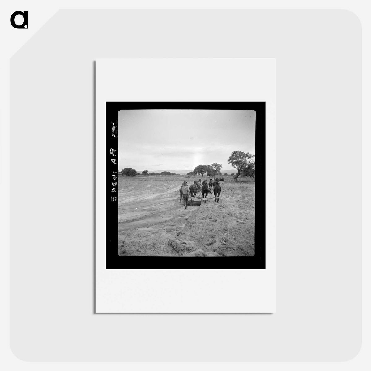 2-49_Dorothea-Lange_hagaki