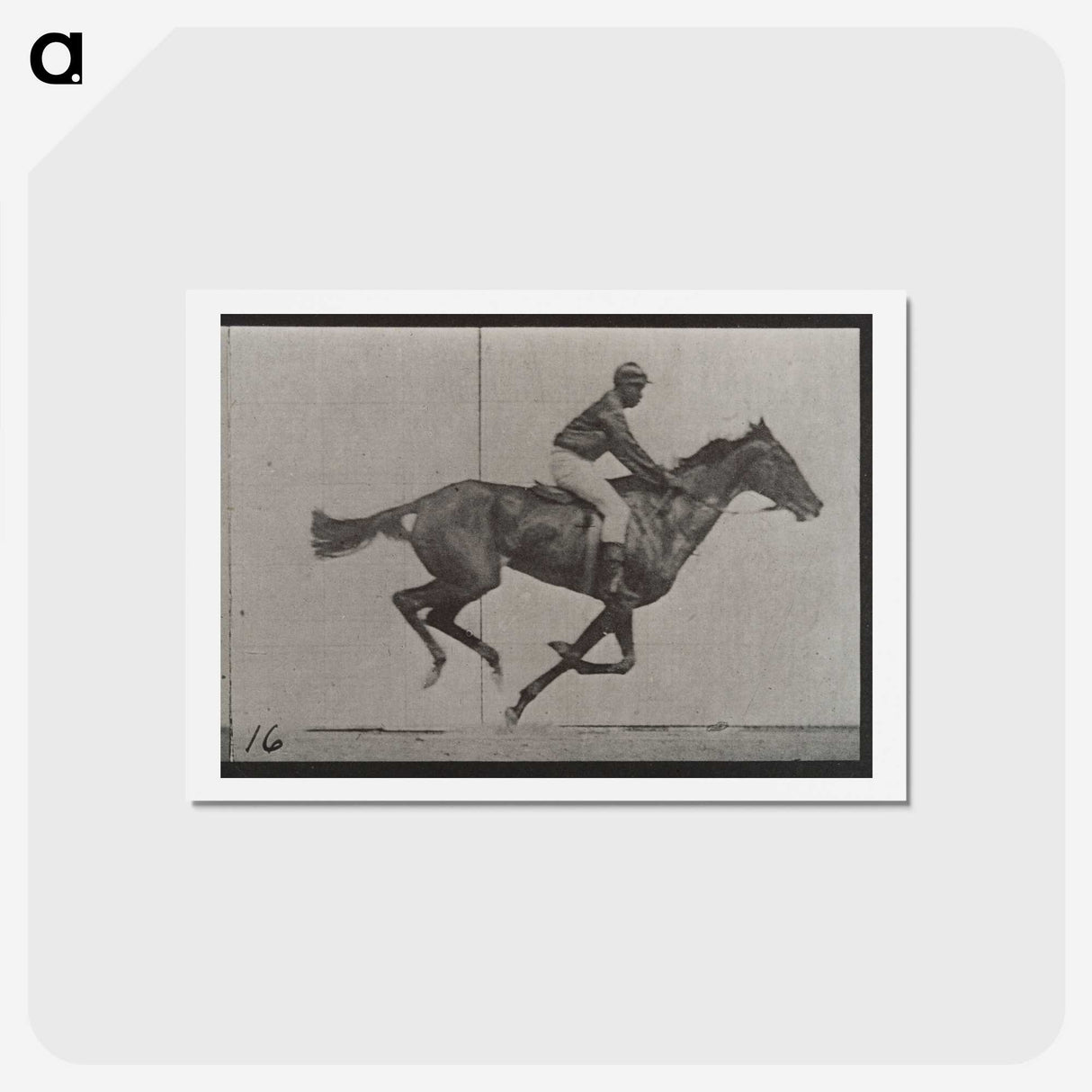 2-49_Eadweard-Muybridge_hagaki