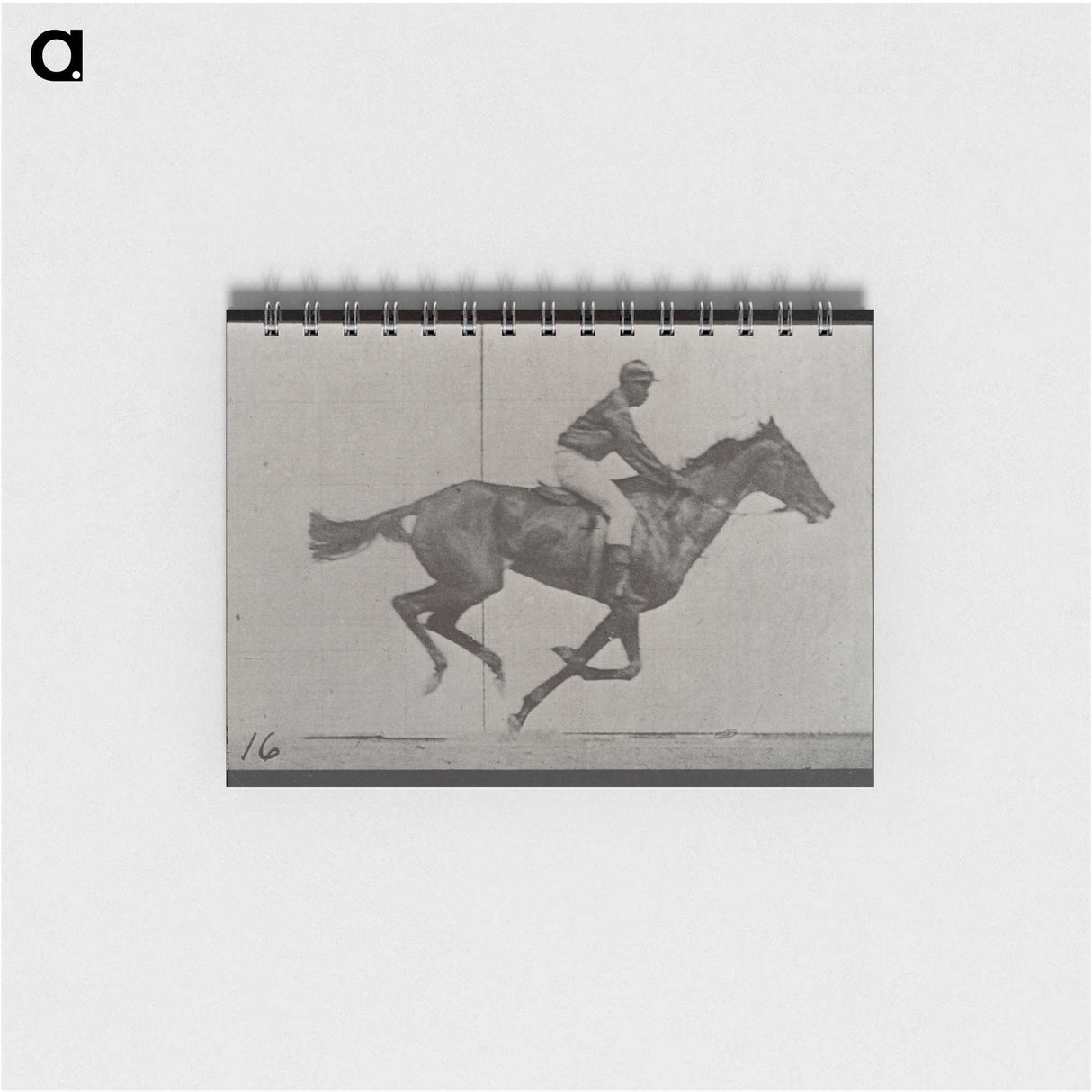 2-49_Eadweard-Muybridge_memo