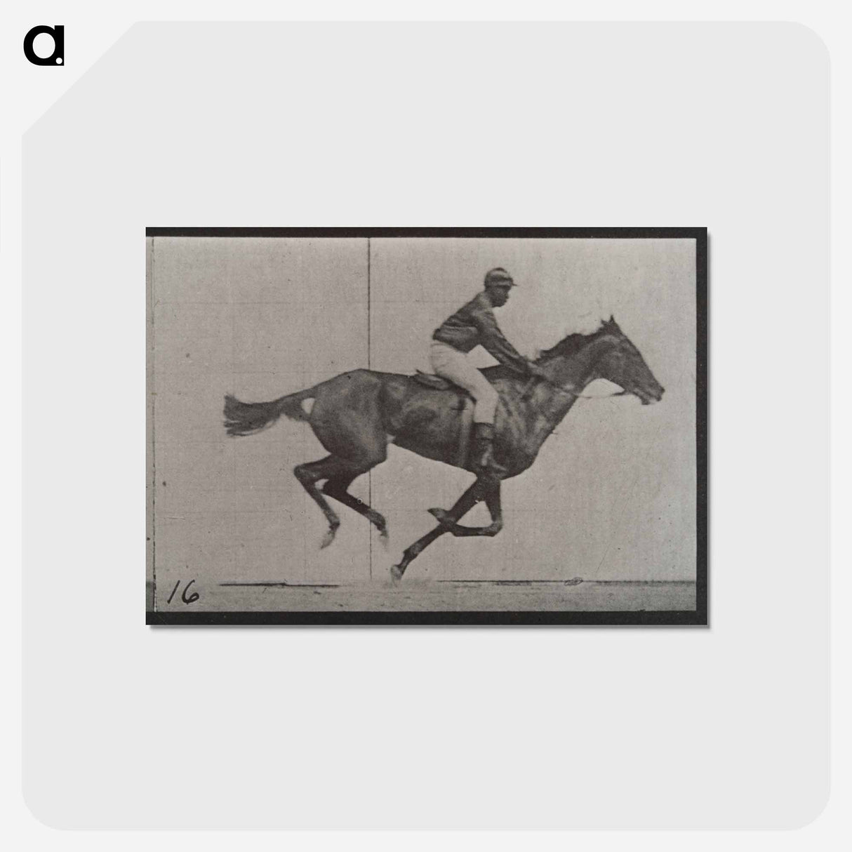 アートポストカード-Galloping Horse and Rider
- エドワード マイブリッジ Postcard.