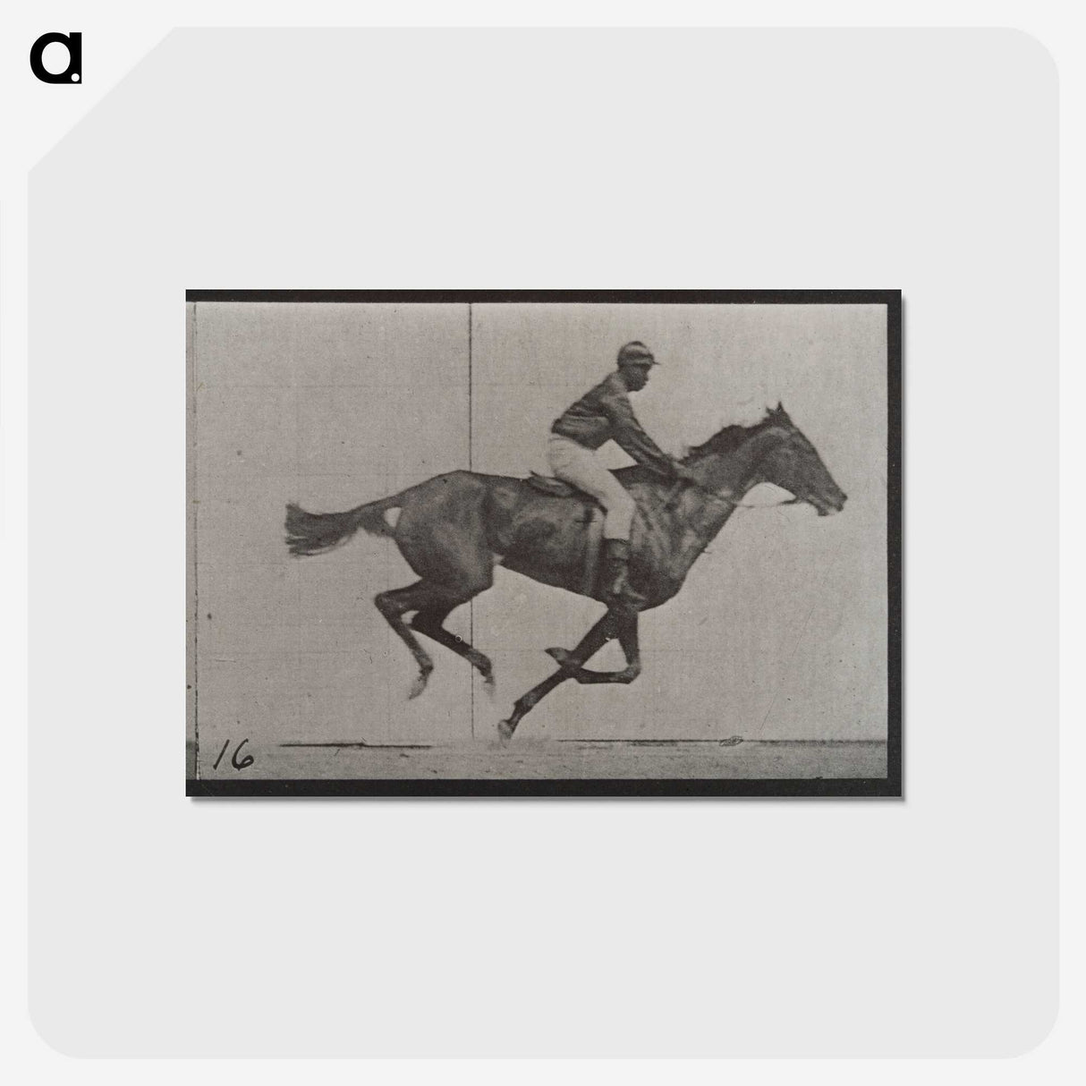 2-49_Eadweard-Muybridge_postcard