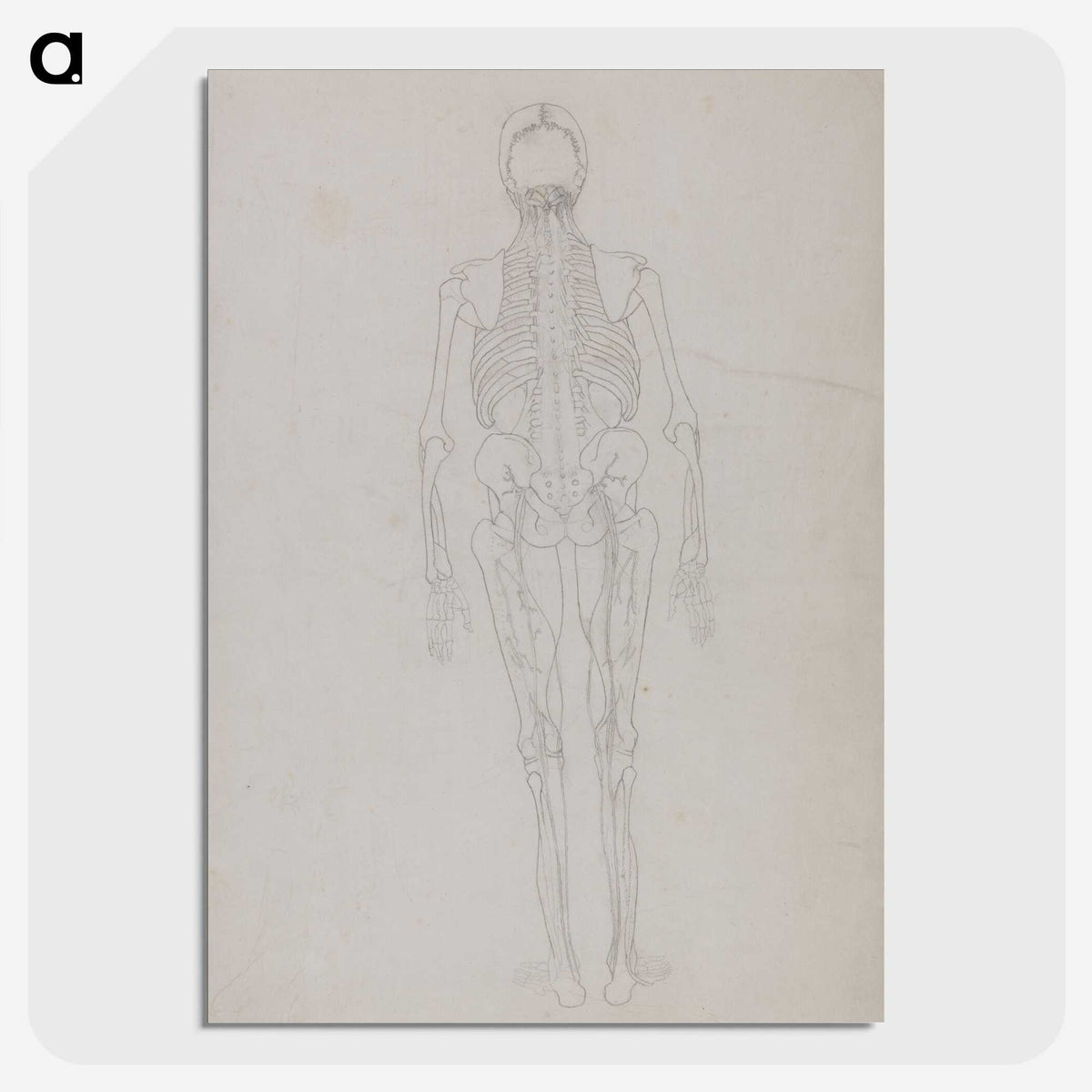 2-49_George-Stubbs_picture-crop