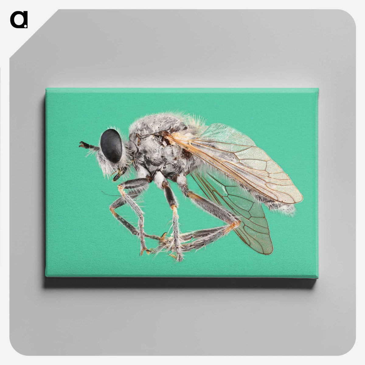 2-49_Insects-Unlocked-Project_canvas