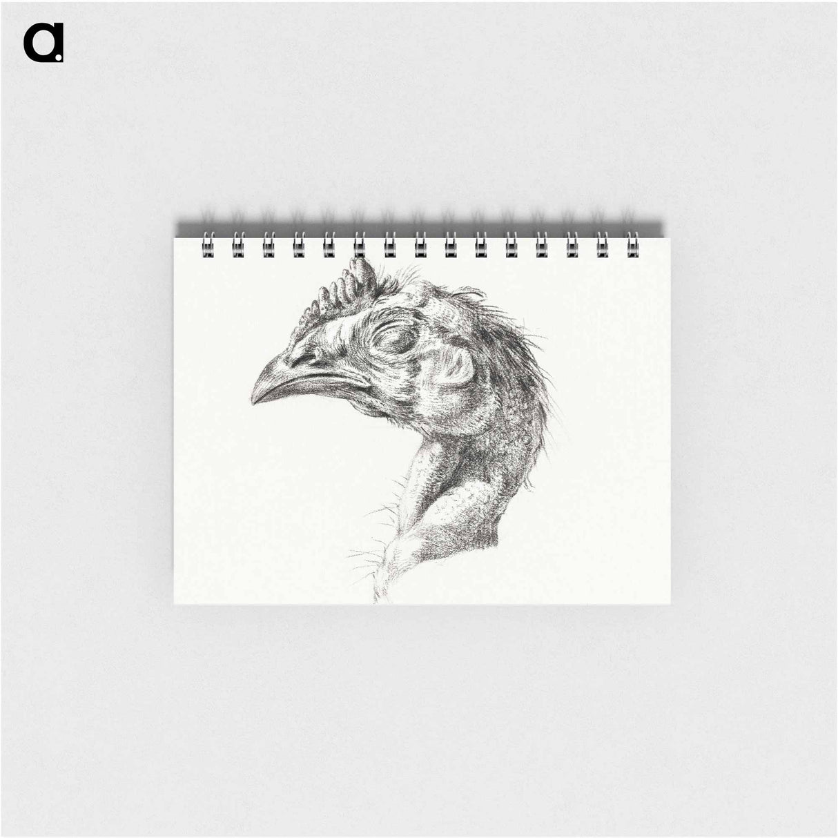 Head of a dead chicken - ジャン ベルナール Memo.