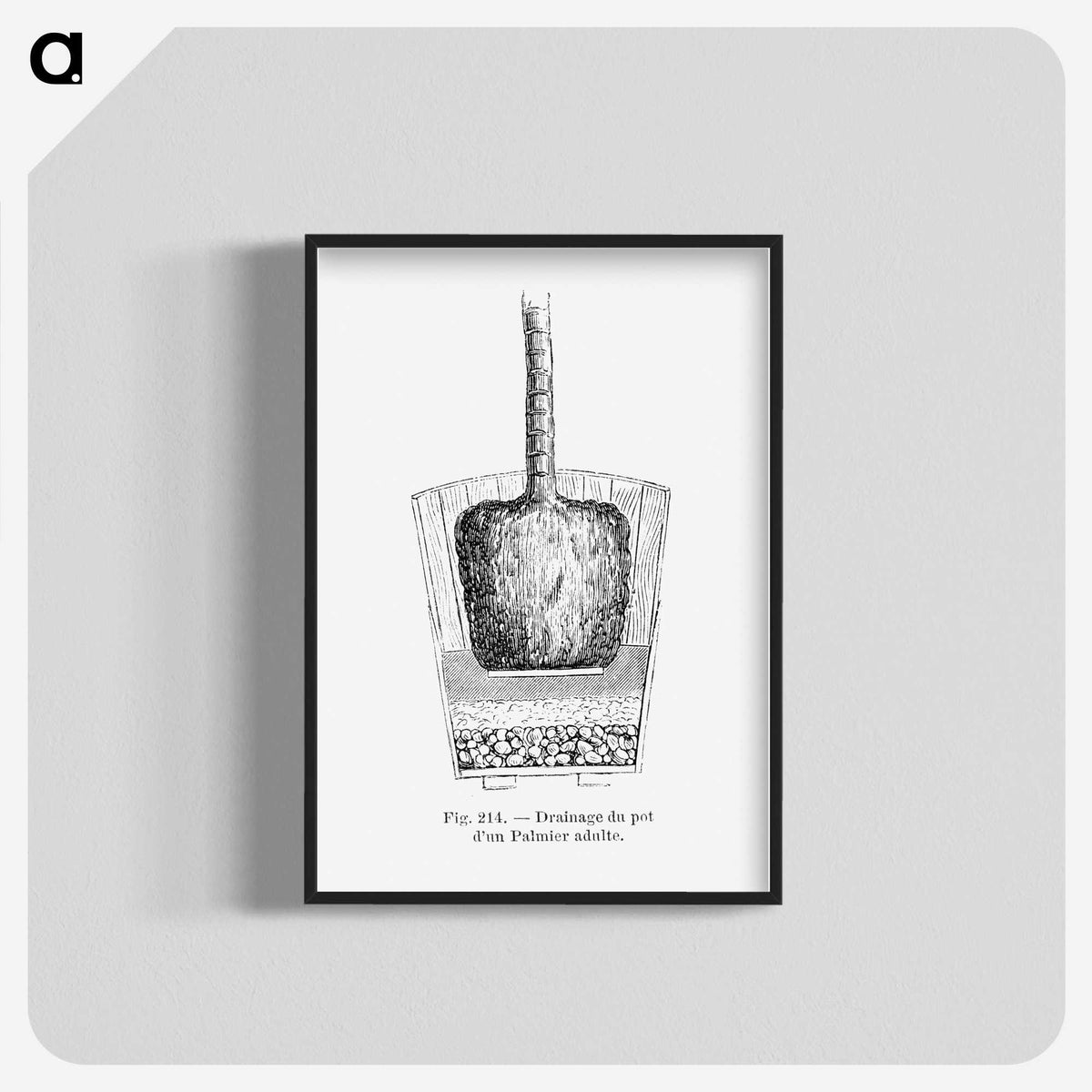 2-49_Les-Palmiers-Histoire-Iconographique_blk-crop