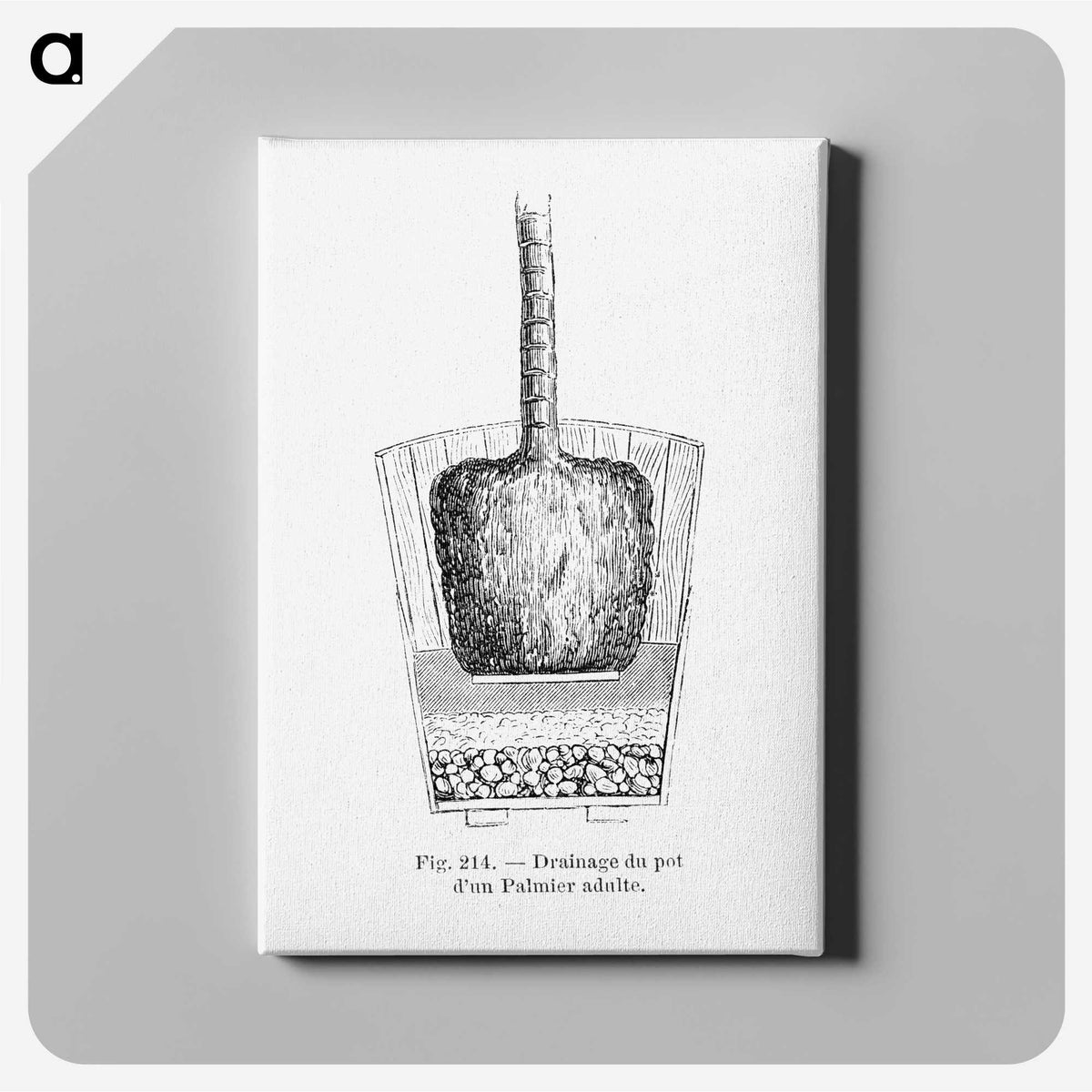 2-49_Les-Palmiers-Histoire-Iconographique_canvas