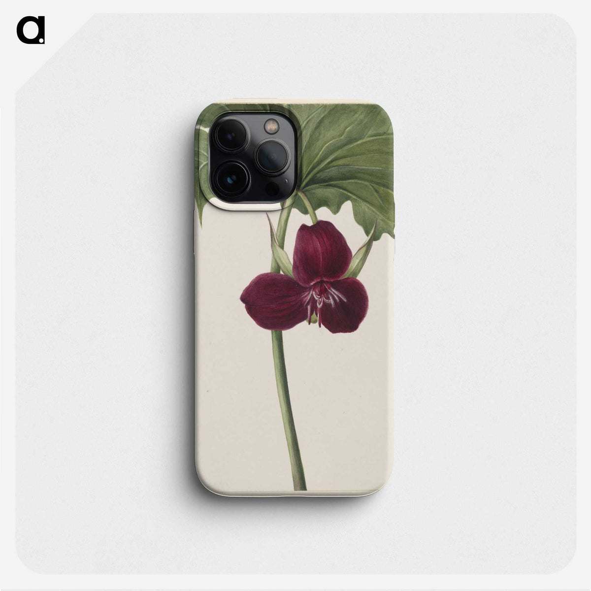 2-49_Mary-Vaux-Walcott_phone