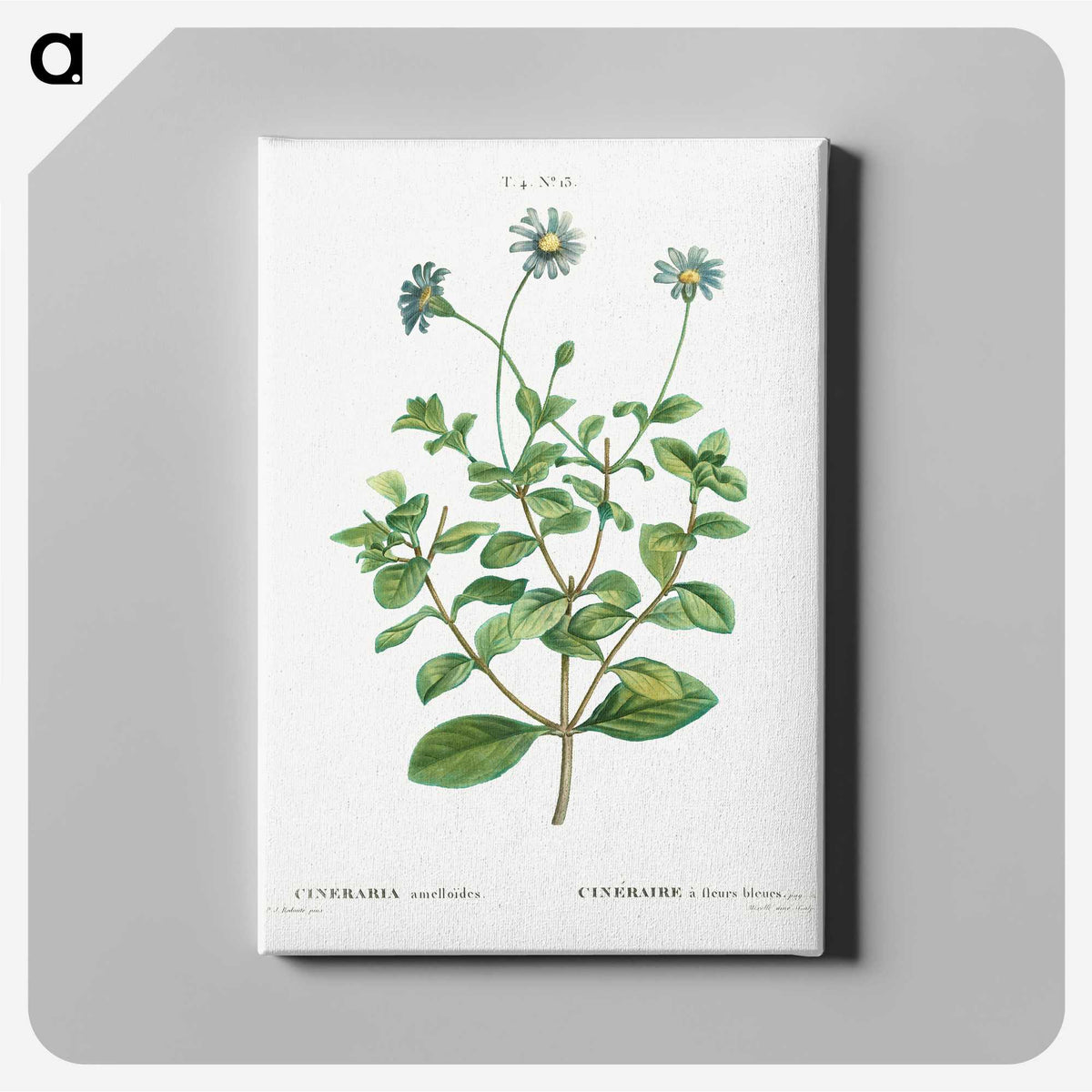 2-49_Treatise-on-Trees-and-Shrubs_canvas