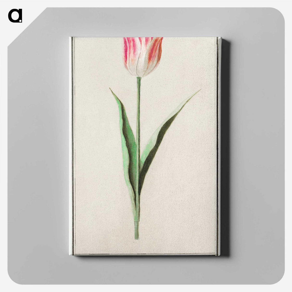 2-4_Anselmus-Boetius-de-Boodt_canvas