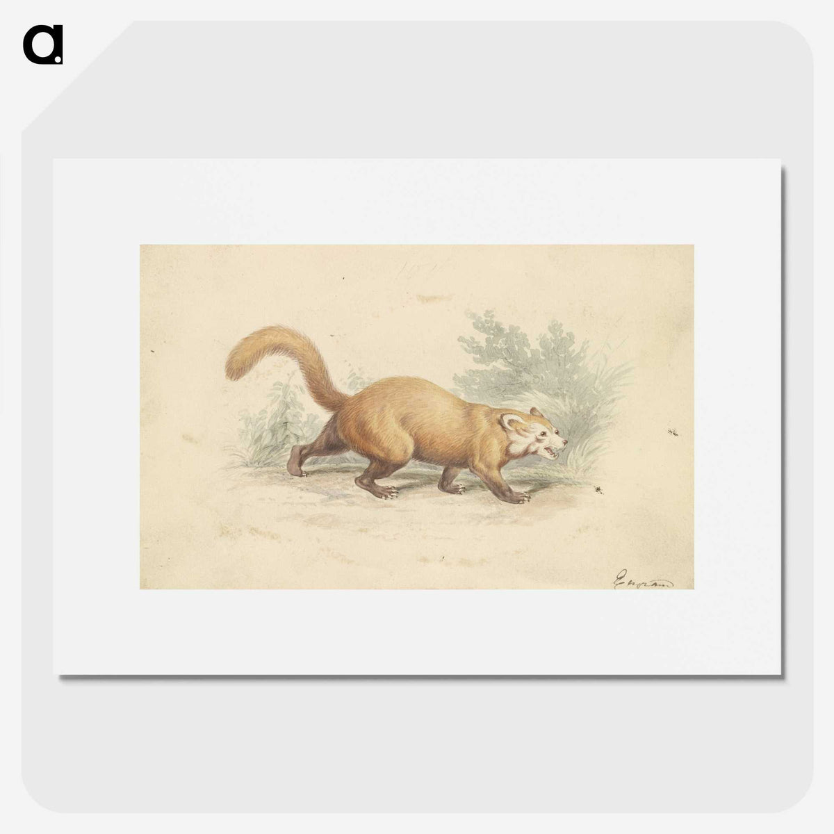 2-4_Charles-Hamilton-Smith_picture