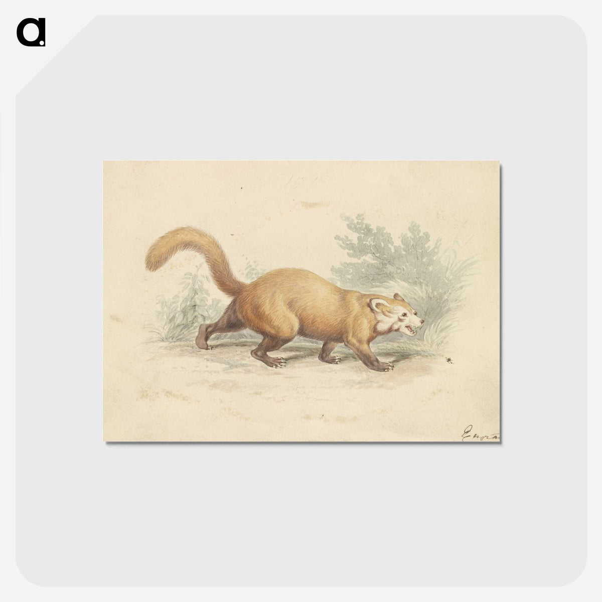 2-4_Charles-Hamilton-Smith_postcard