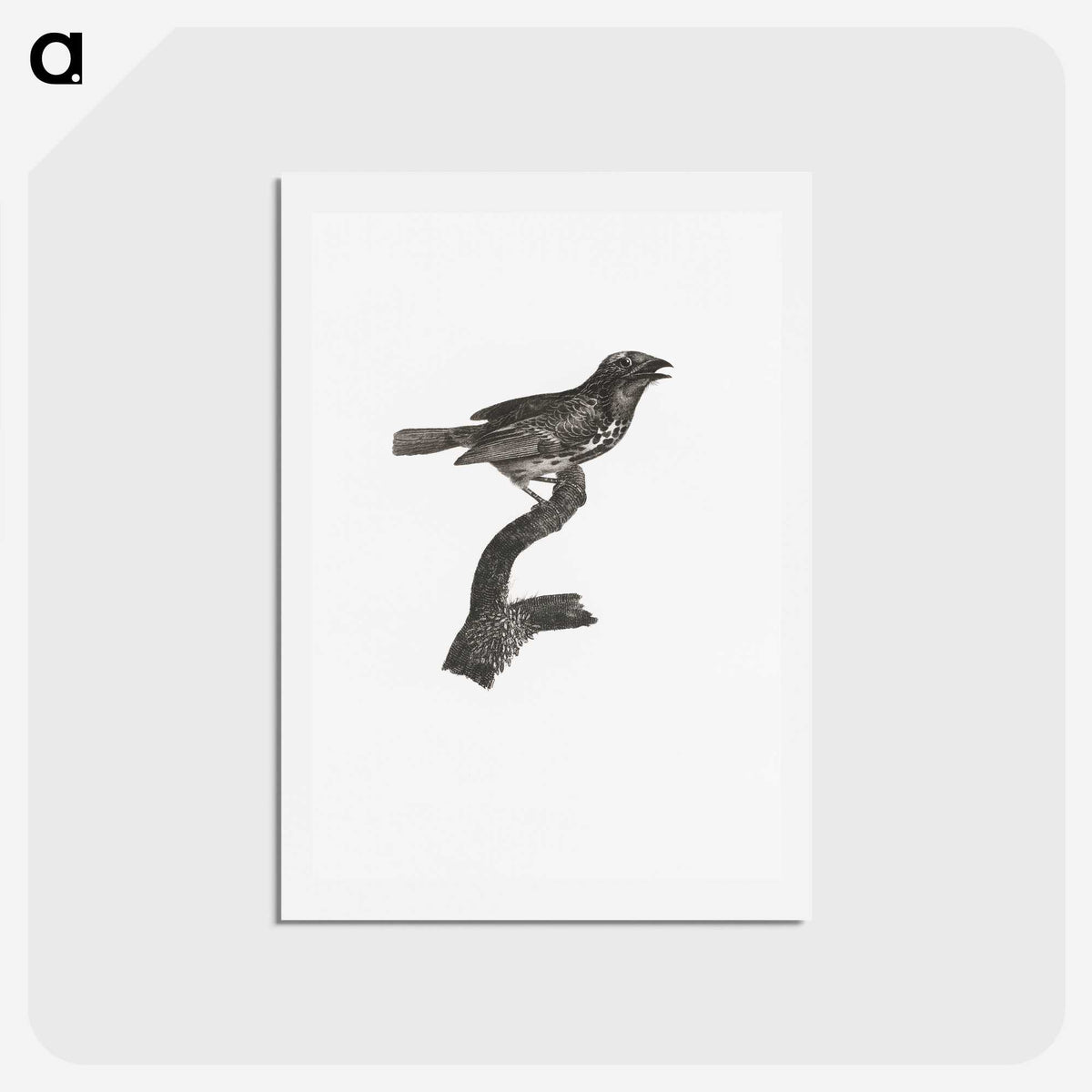 2-4_Des-Oiseaux-de-Paradis_hagaki