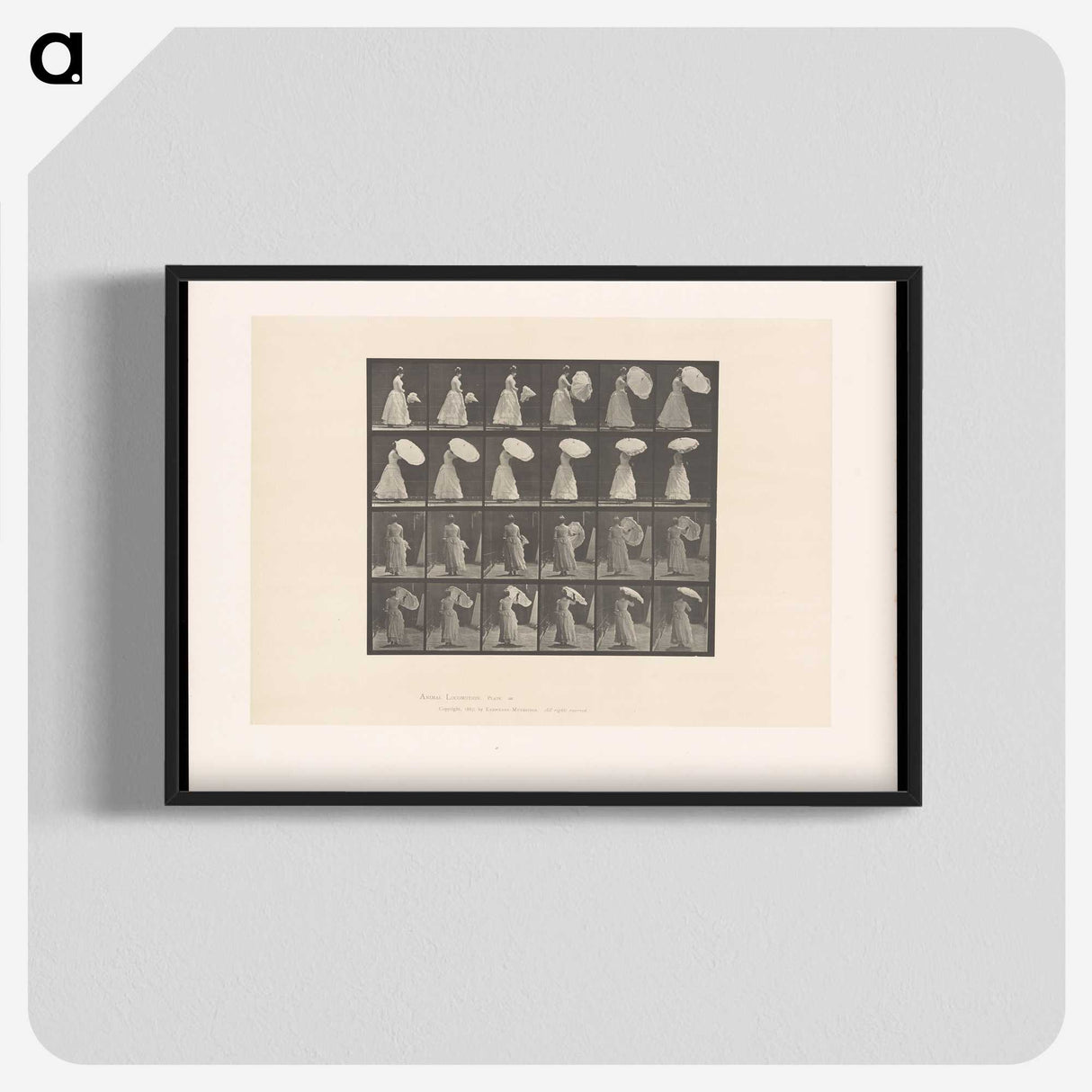 2-4_Eadweard-Muybridge_blk-crop