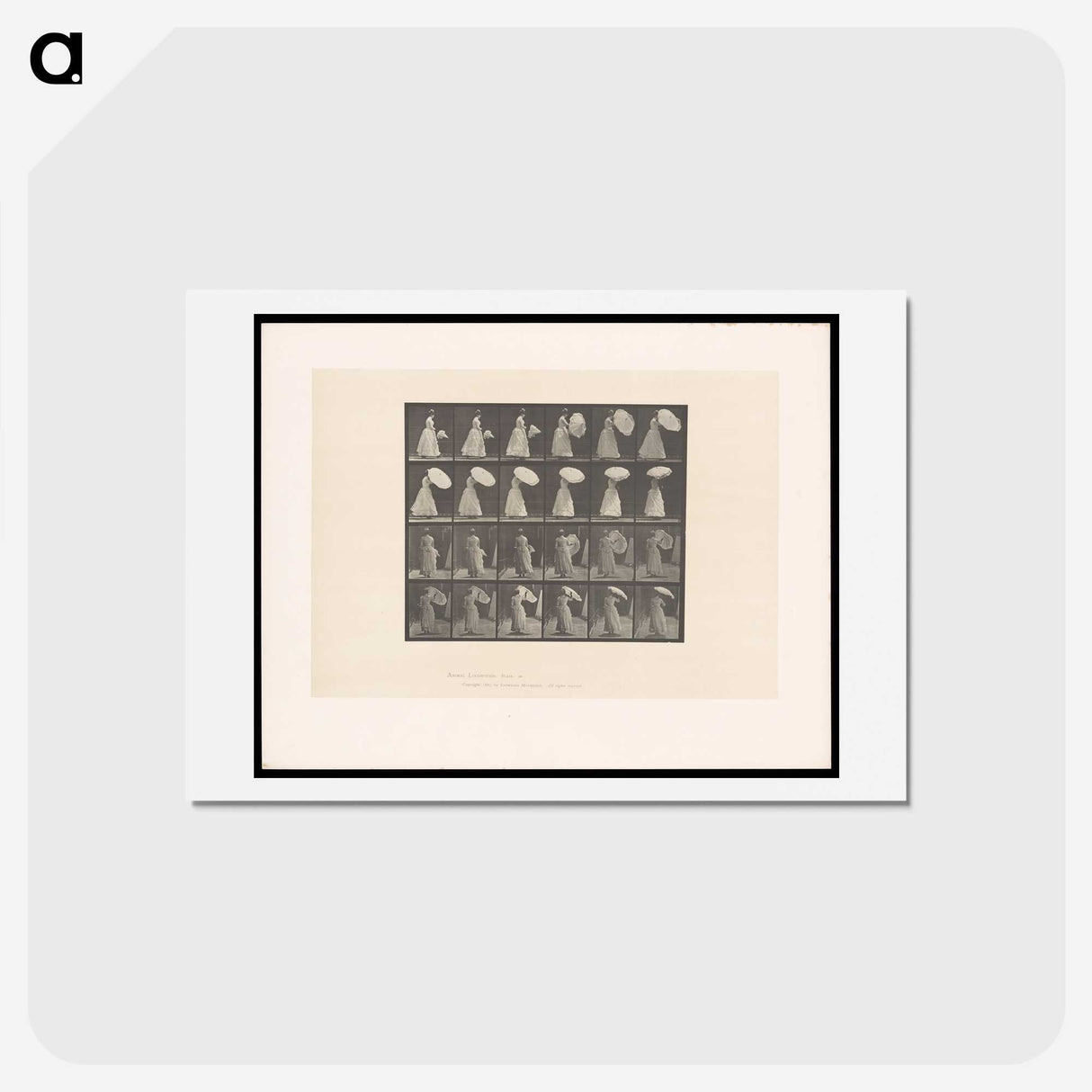 2-4_Eadweard-Muybridge_hagaki