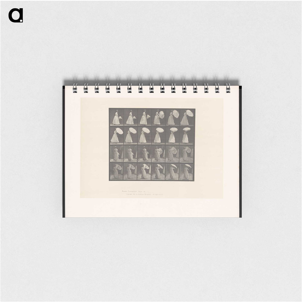 2-4_Eadweard-Muybridge_memo