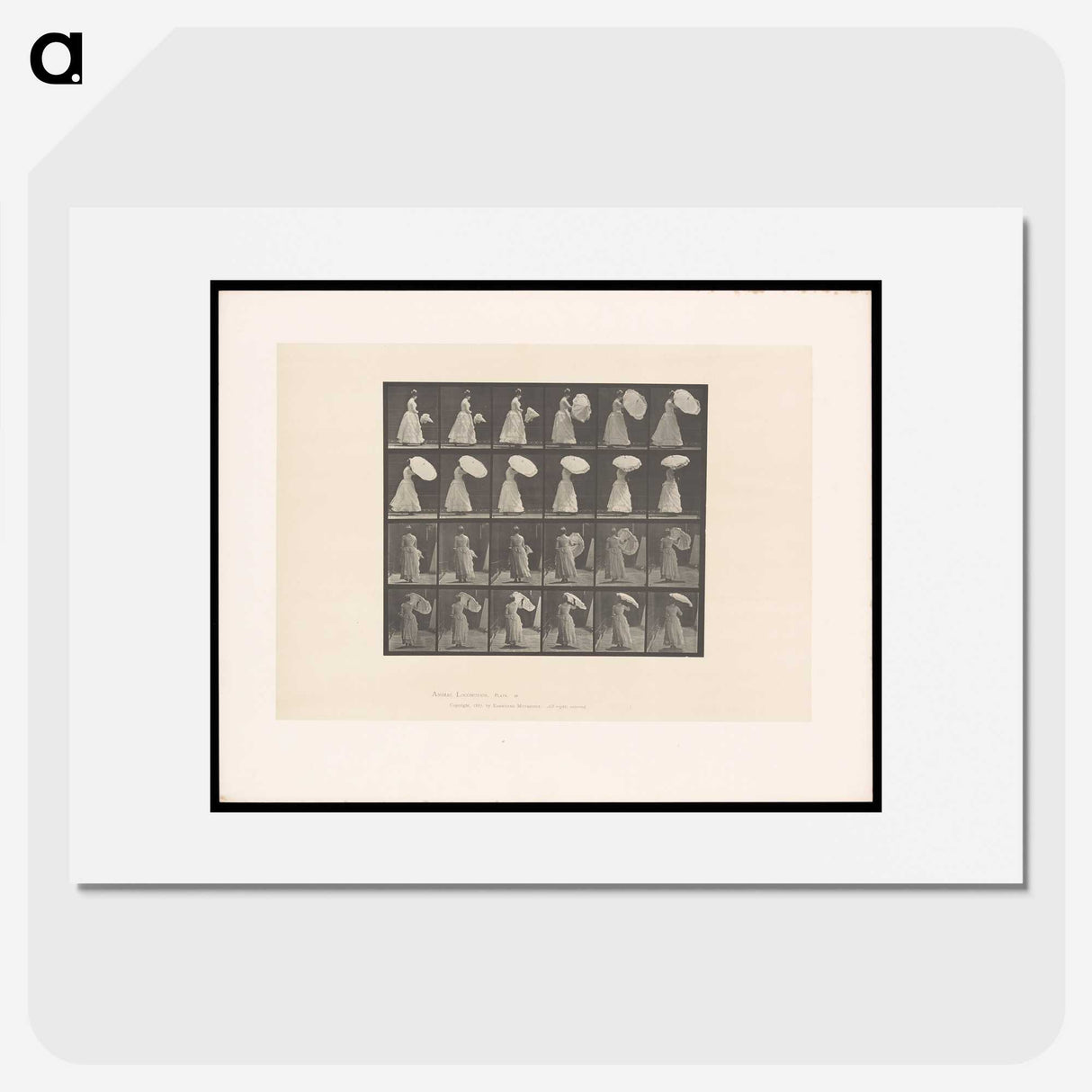 2-4_Eadweard-Muybridge_picture