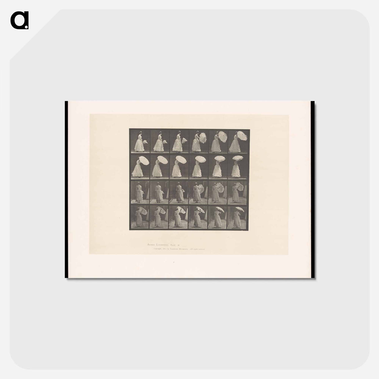 アートポストカード-Woman with Umbrella
- エドワード マイブリッジ Postcard.