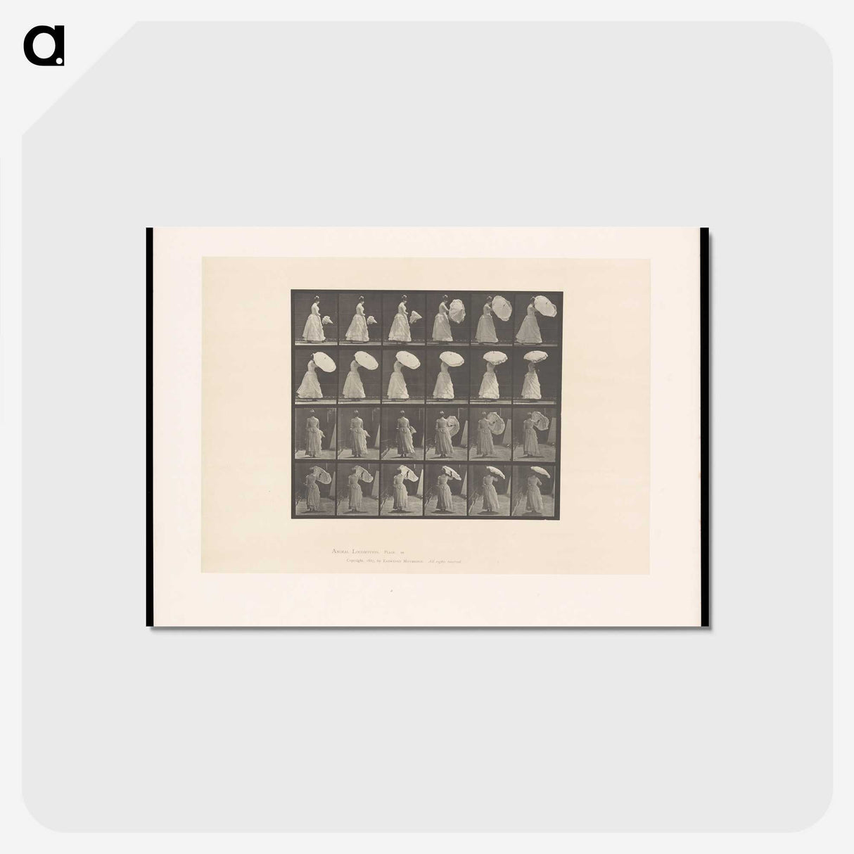 2-4_Eadweard-Muybridge_postcard