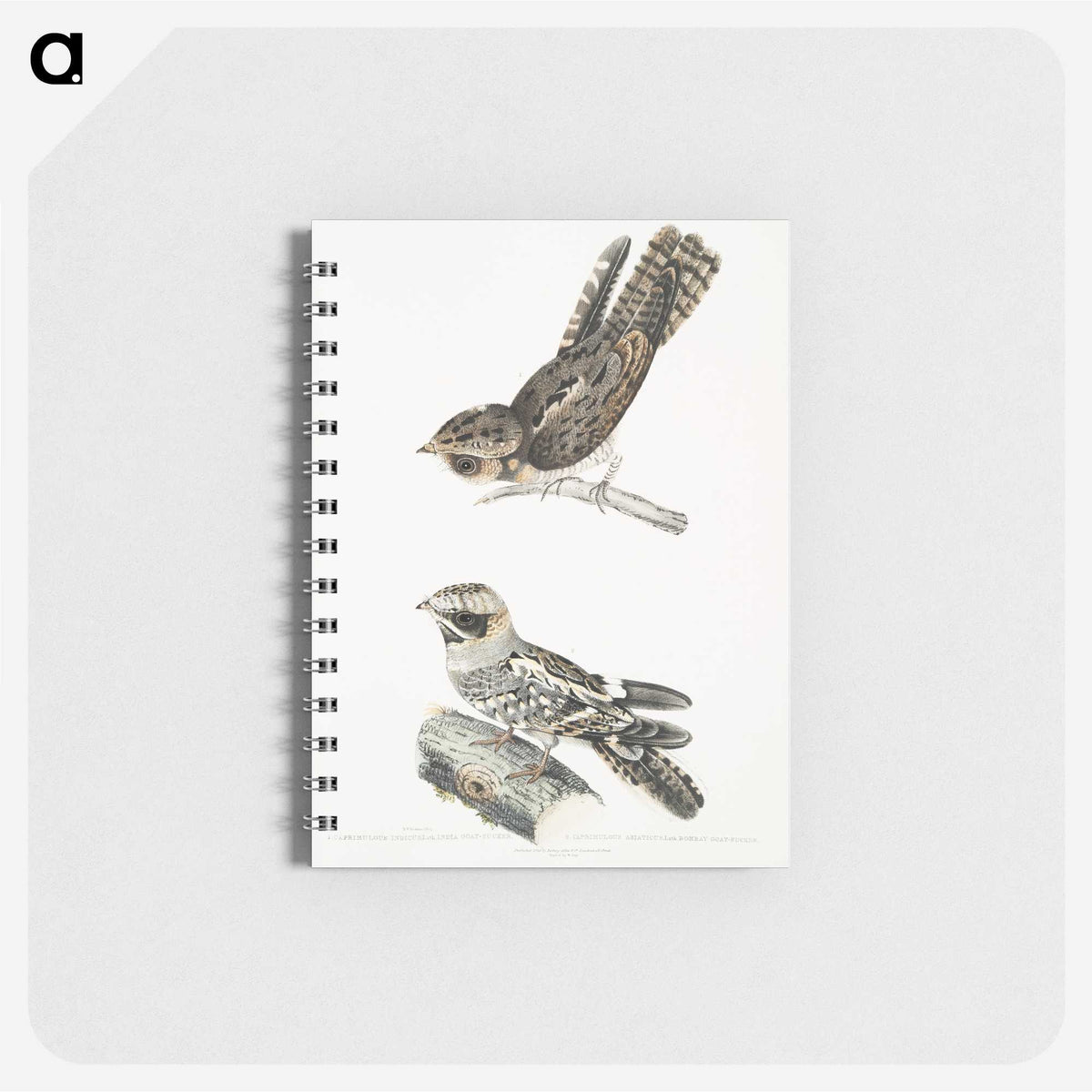 2-4_Indian-Zoology_memo