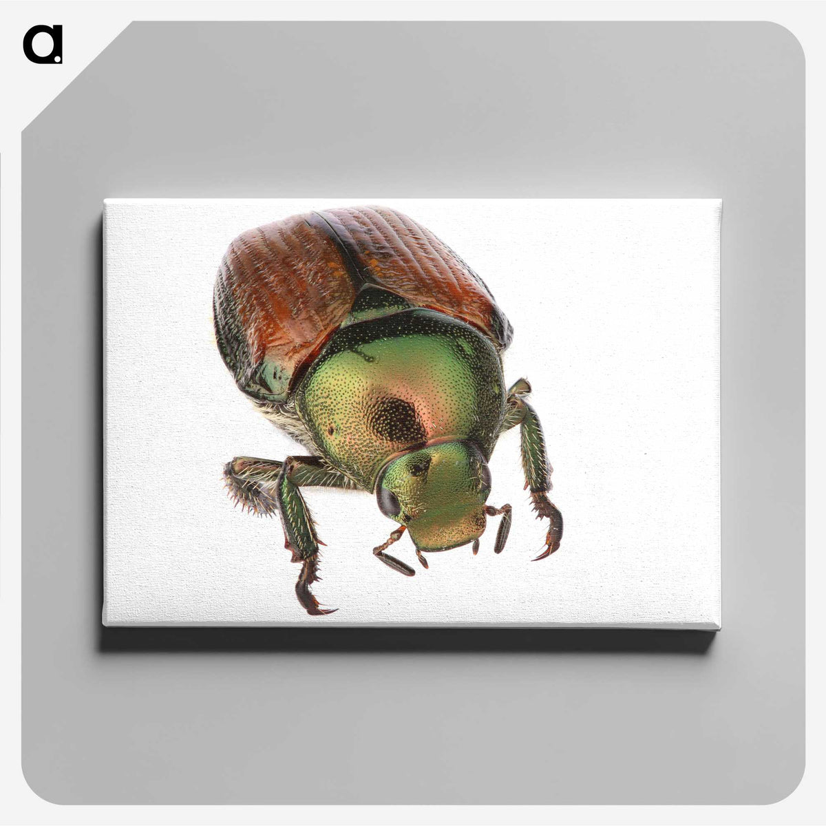 2-4_Insects-Unlocked-Project_canvas