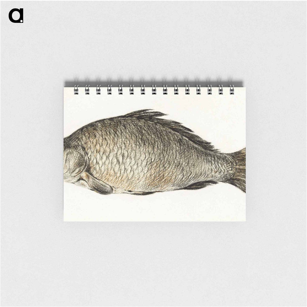 Fish - ジャン ベルナール Memo.