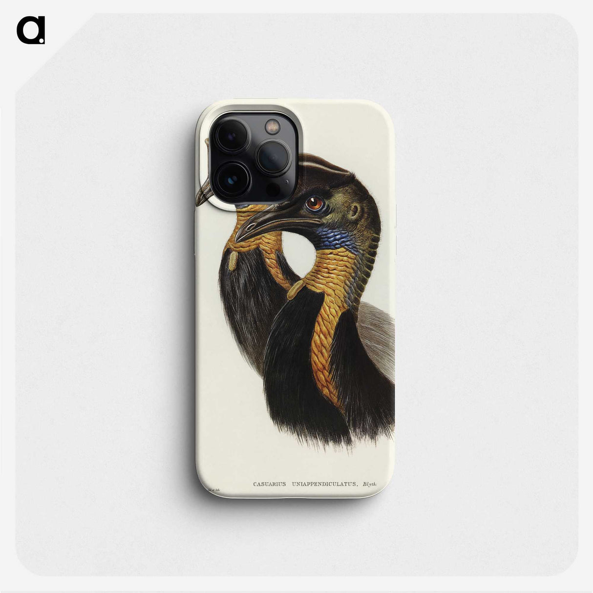 2-4_John-Gould_phone