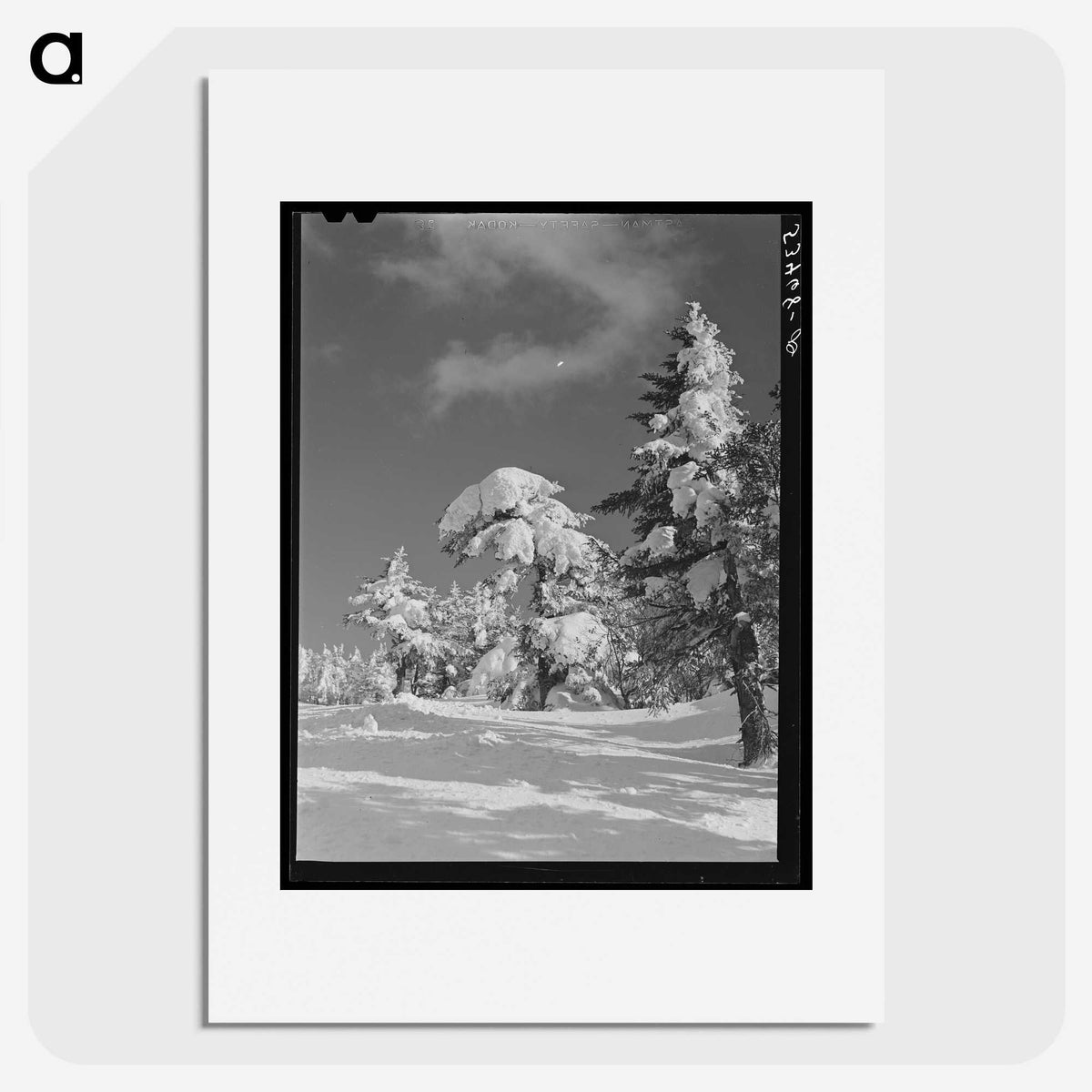 2-4_Marion-Post-Wolcott_picture
