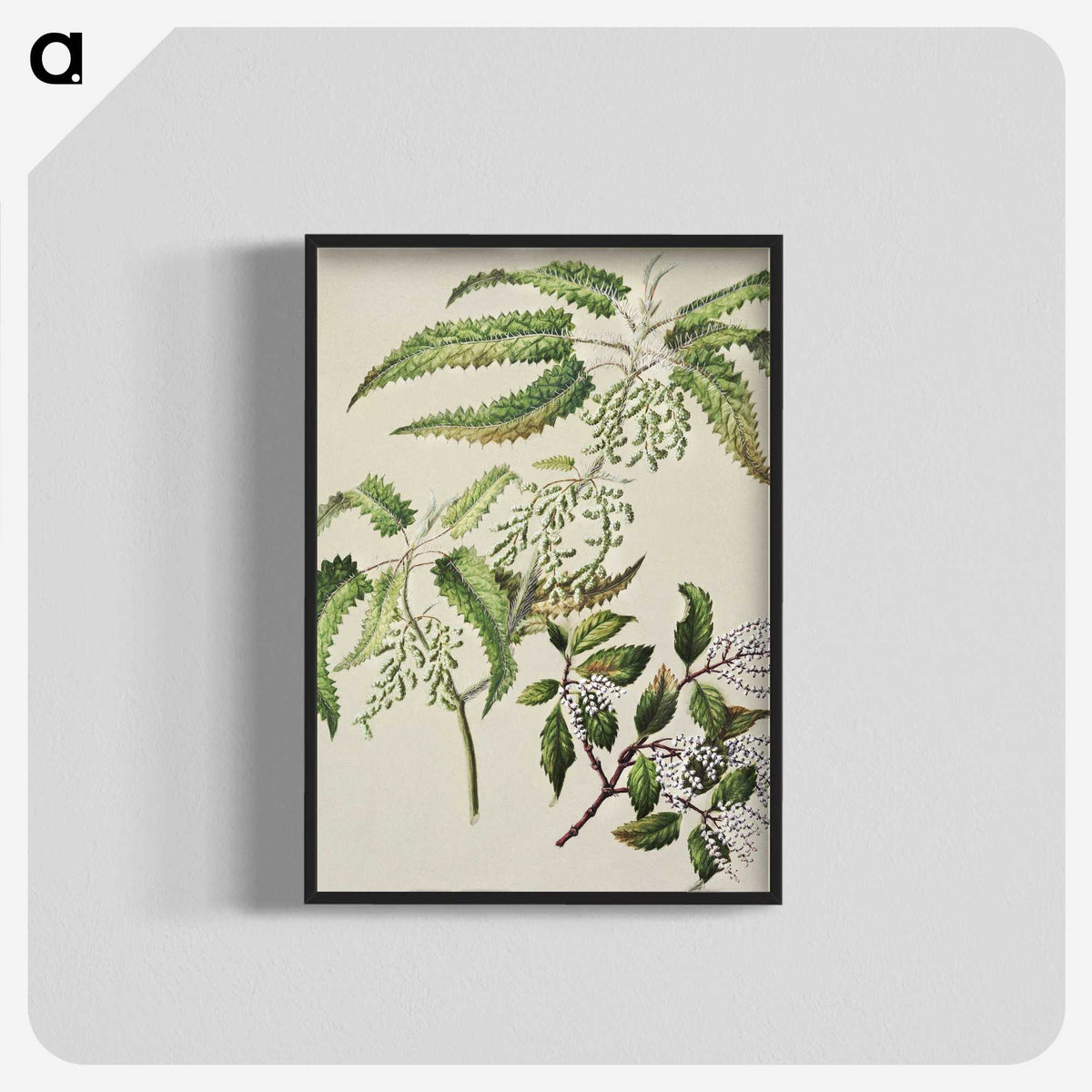 2-4_Native-Flowering-Plants-of-New-Zealand_blk-crop