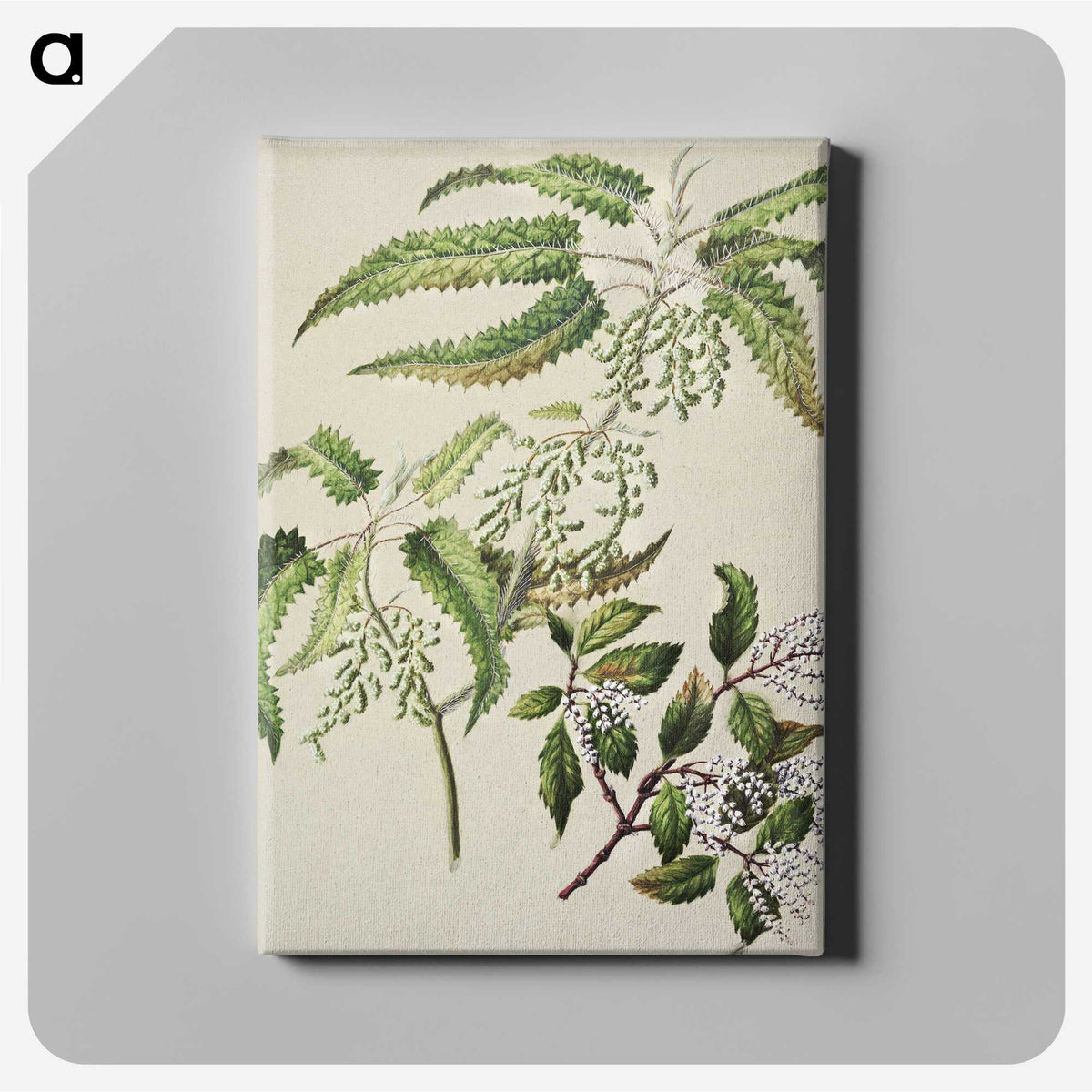 2-4_Native-Flowering-Plants-of-New-Zealand_canvas