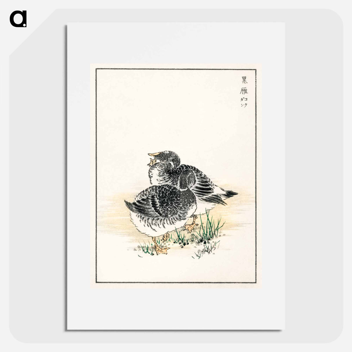 アートポスター-Black Brant Illustration
- 鳥類図鑑 Poster.