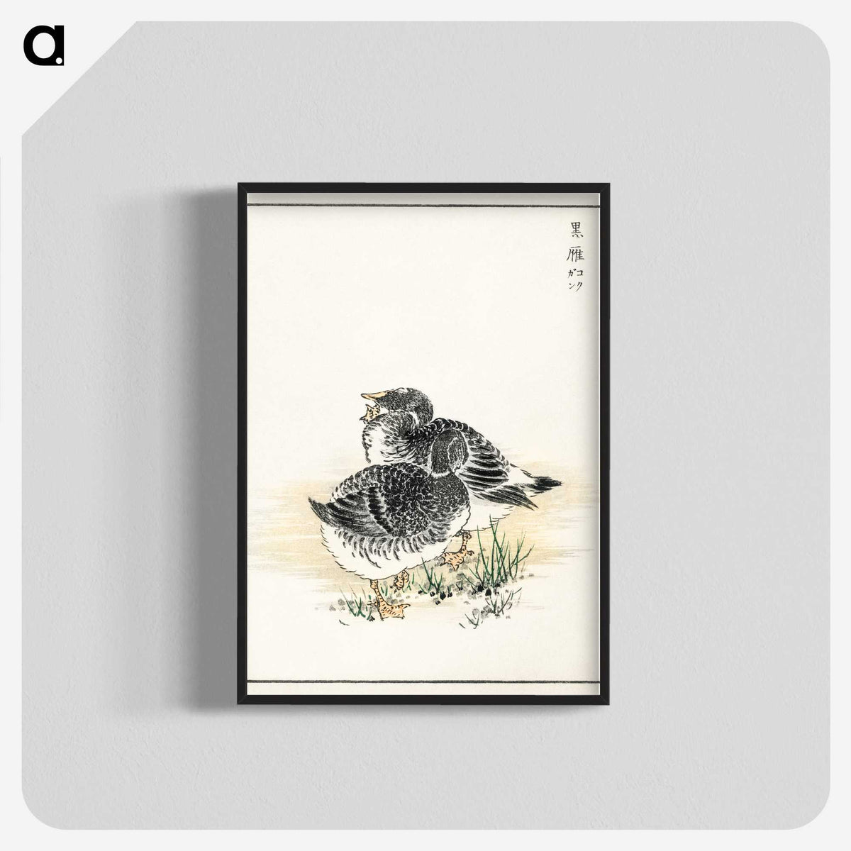 2-4_Pictorial-Monograph-of-Birds_blk-crop