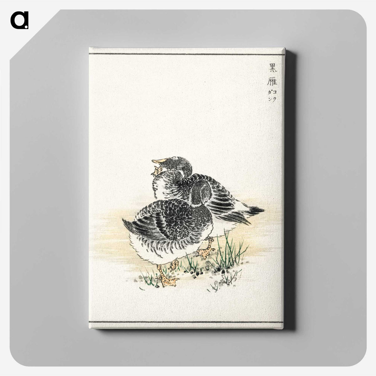 2-4_Pictorial-Monograph-of-Birds_canvas