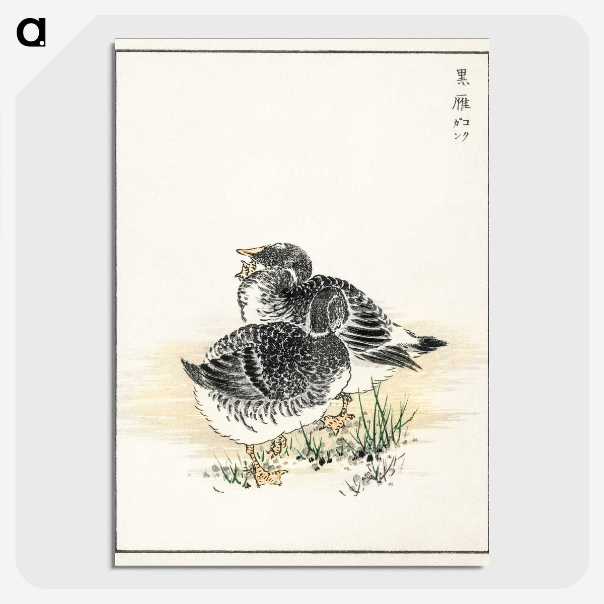 2-4_Pictorial-Monograph-of-Birds_picture-crop