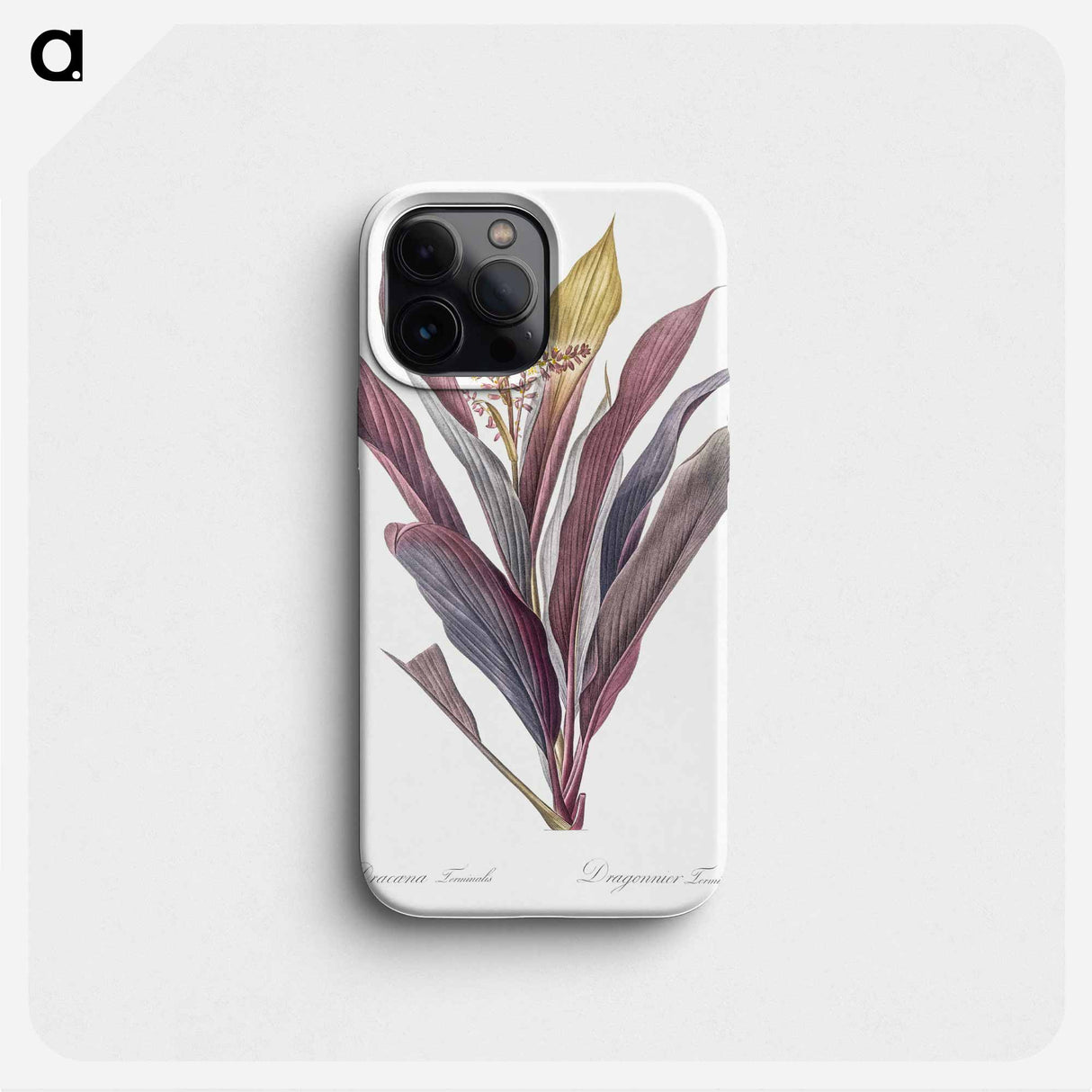Cordyline fruticosa illustration - Pierre Joseph Redouté Phone Case.
