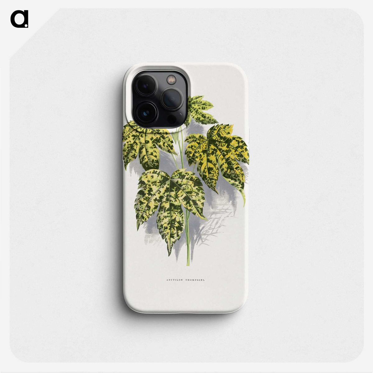 2-4_Plants-with-Colored-Foliage_phone