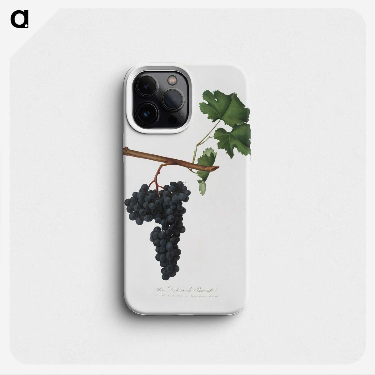 2-4_Pomona-Italiana_phone