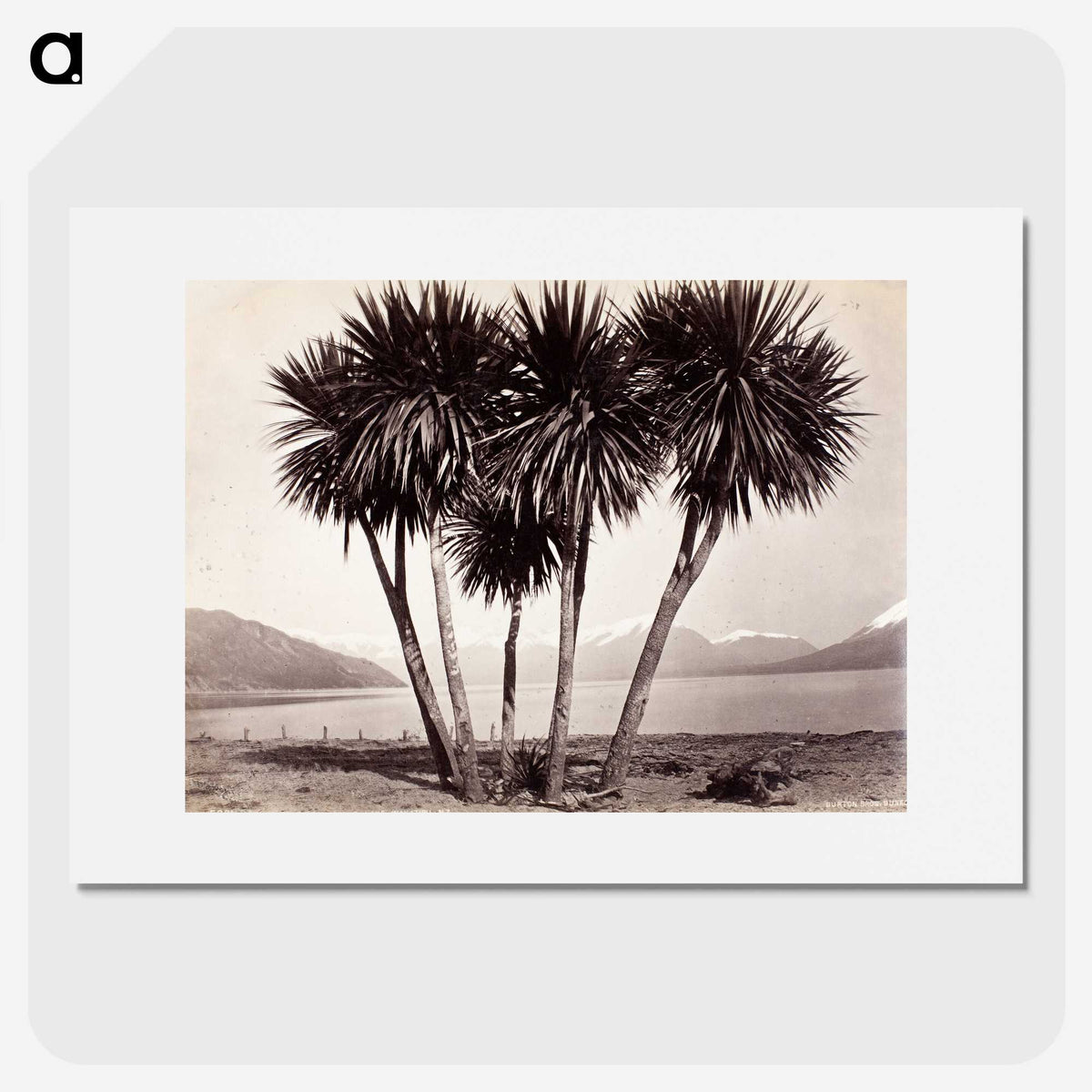 2-4_The-Burton-Brothers_picture