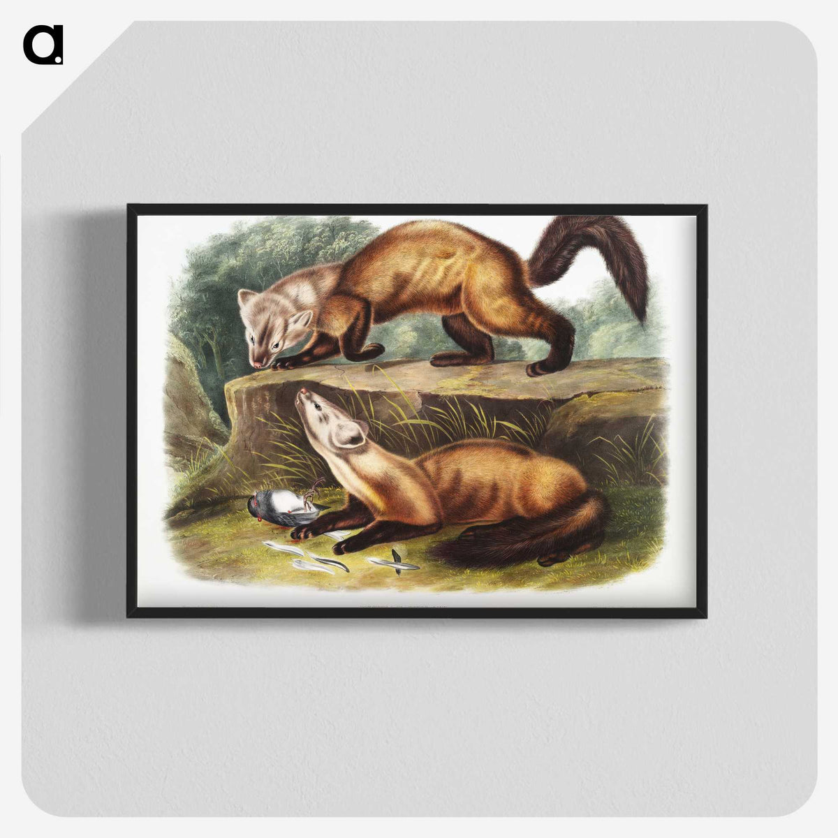 2-4_The-Viviparous-Quadrupeds_blk-crop