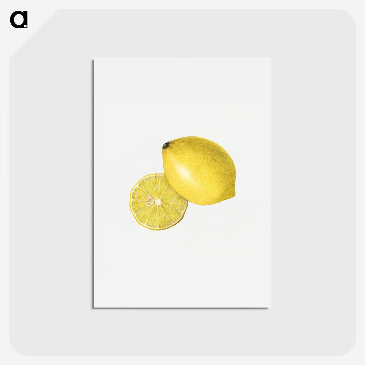 2-4_USDA-Watercolor-Fruit-Painting-Collection_hagaki