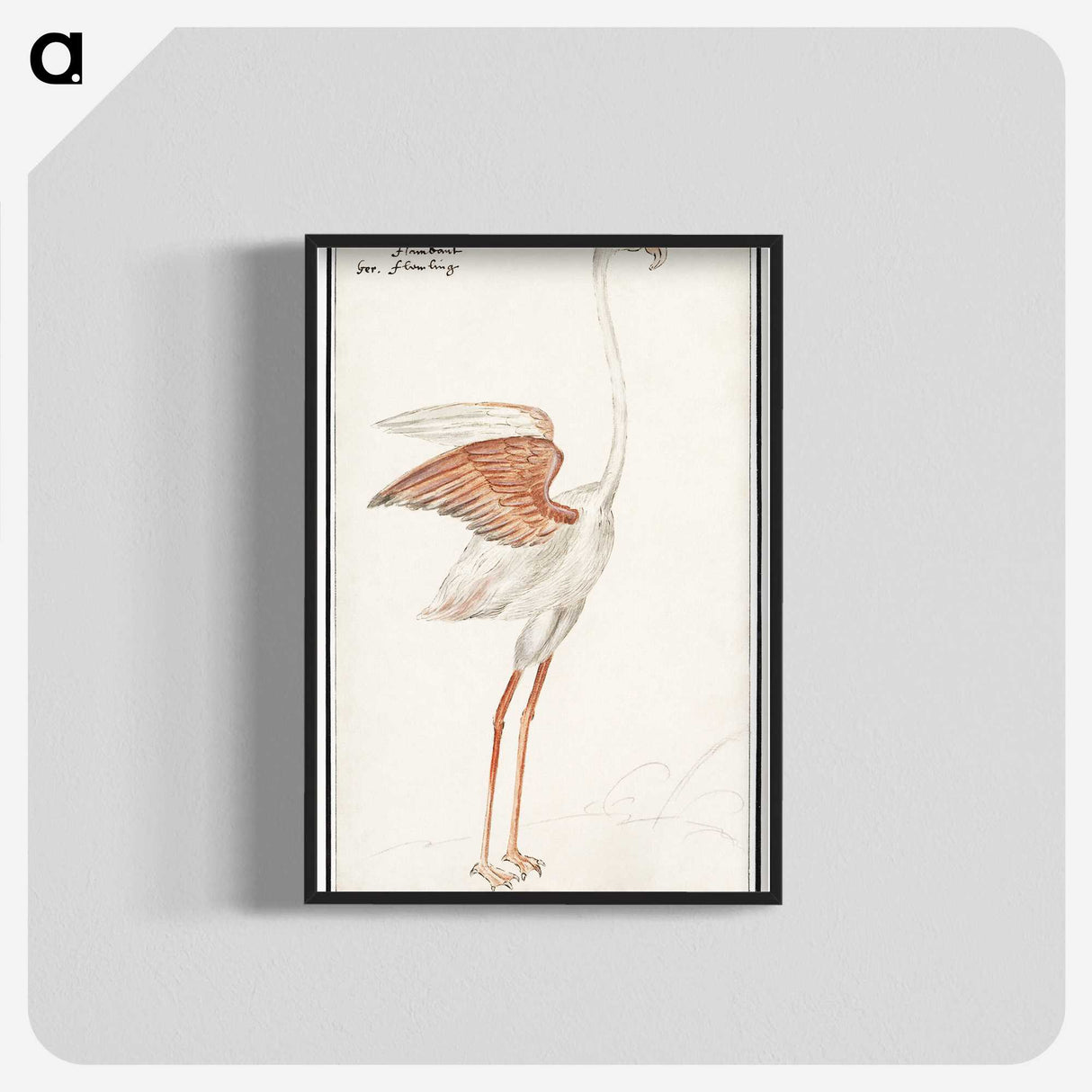 2-50_Anselmus-Boetius-de-Boodt_blk-crop