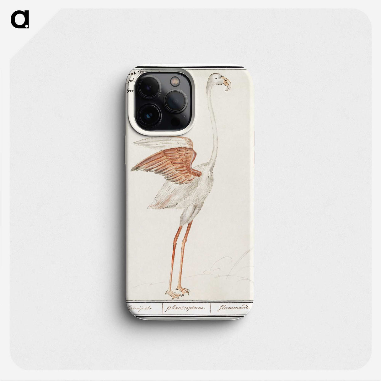2-50_Anselmus-Boetius-de-Boodt_phone