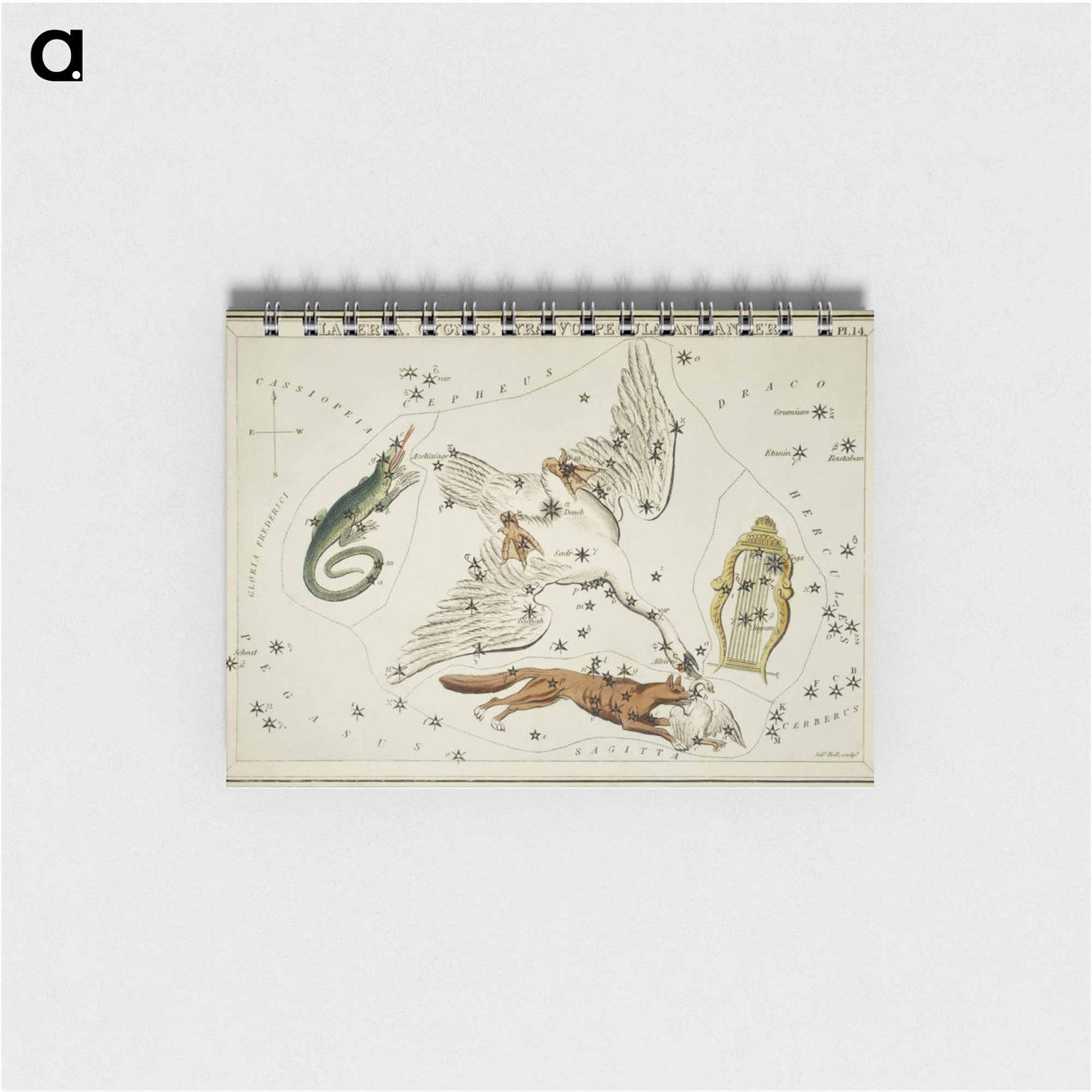 Sidney Hall’s astronomical chart illustration of the Lacerta, Cygnus, Lyra, Vulpecula and the Anser - アンティーク地図 Memo.