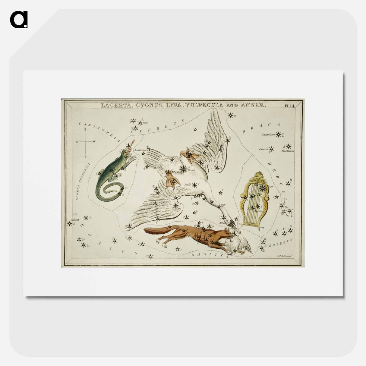 Sidney Hall’s astronomical chart illustration of the Lacerta, Cygnus, Lyra, Vulpecula and the Anser - アンティーク地図 Poster.