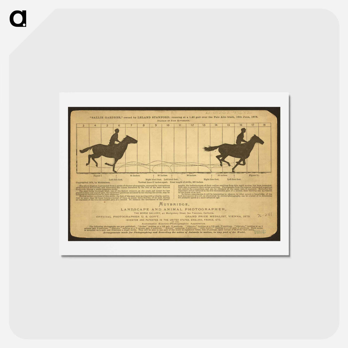 アートポストカード-The Horse in Motion
- エドワード マイブリッジ Postcard.