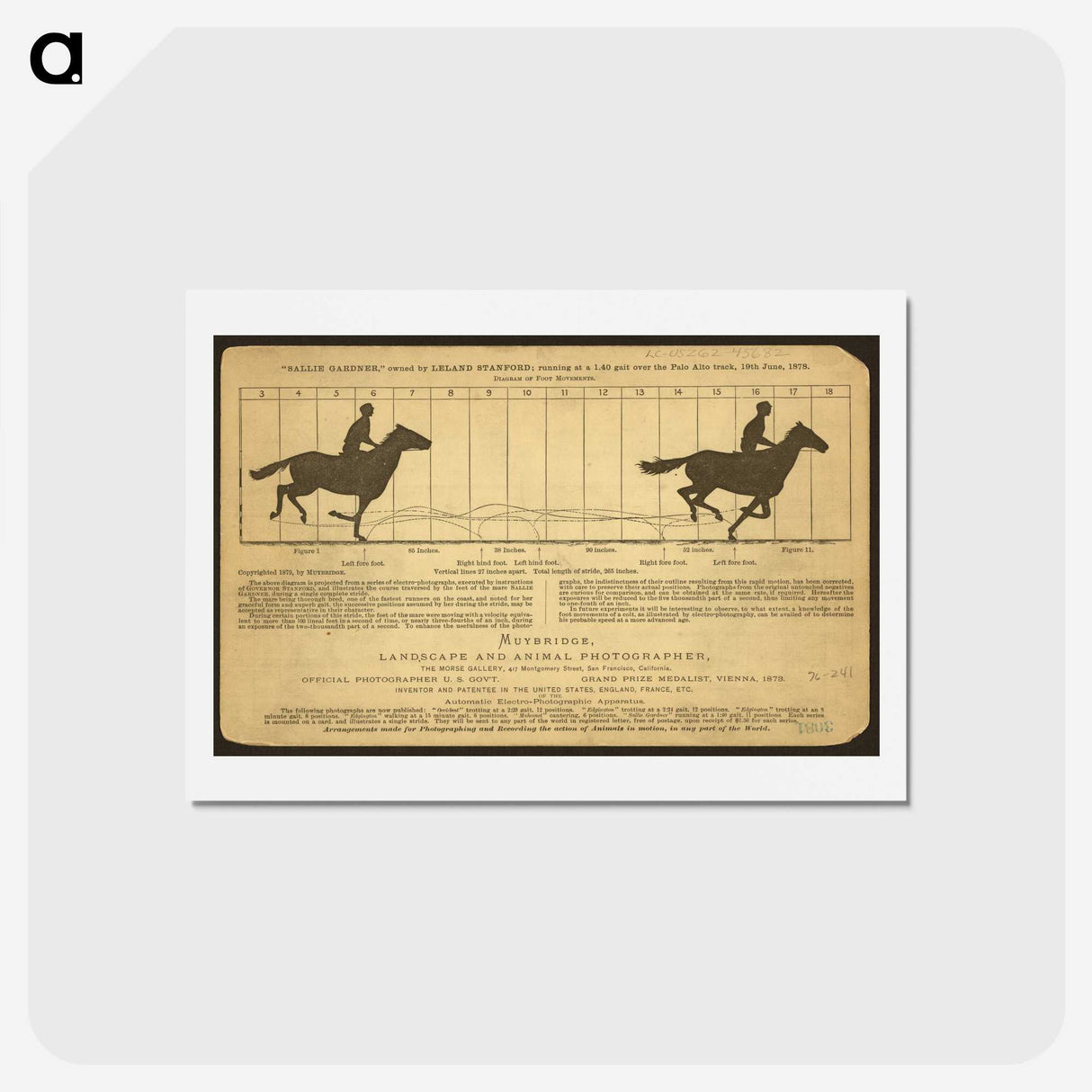 2-50_Eadweard-Muybridge_hagaki