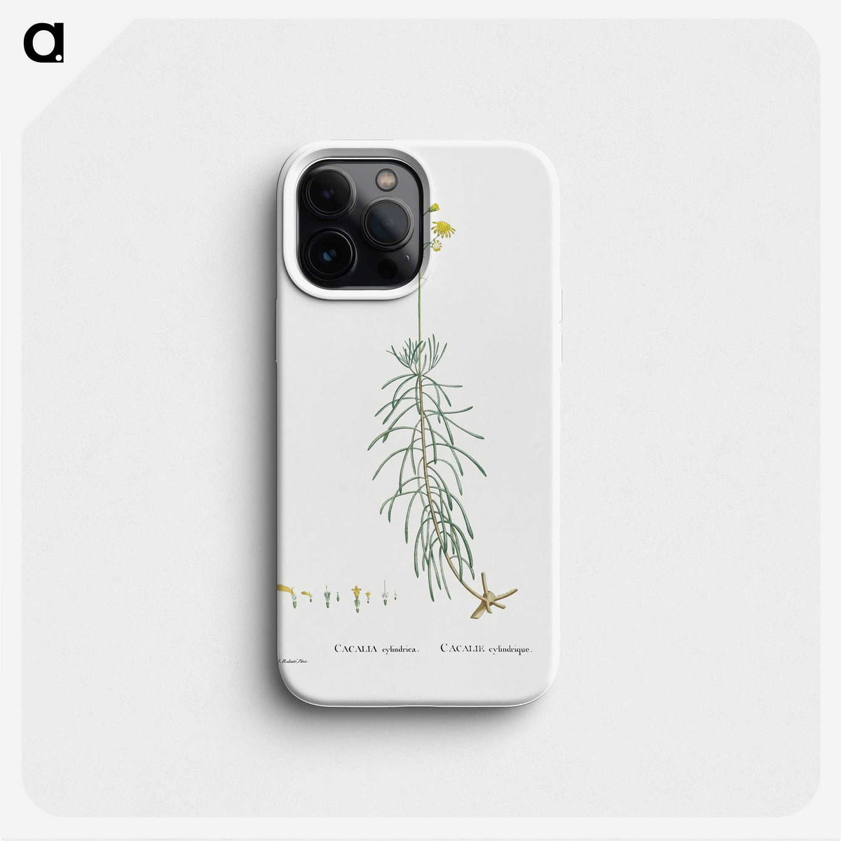 2-50_Histoire-des-Plantes-Grasses_phone