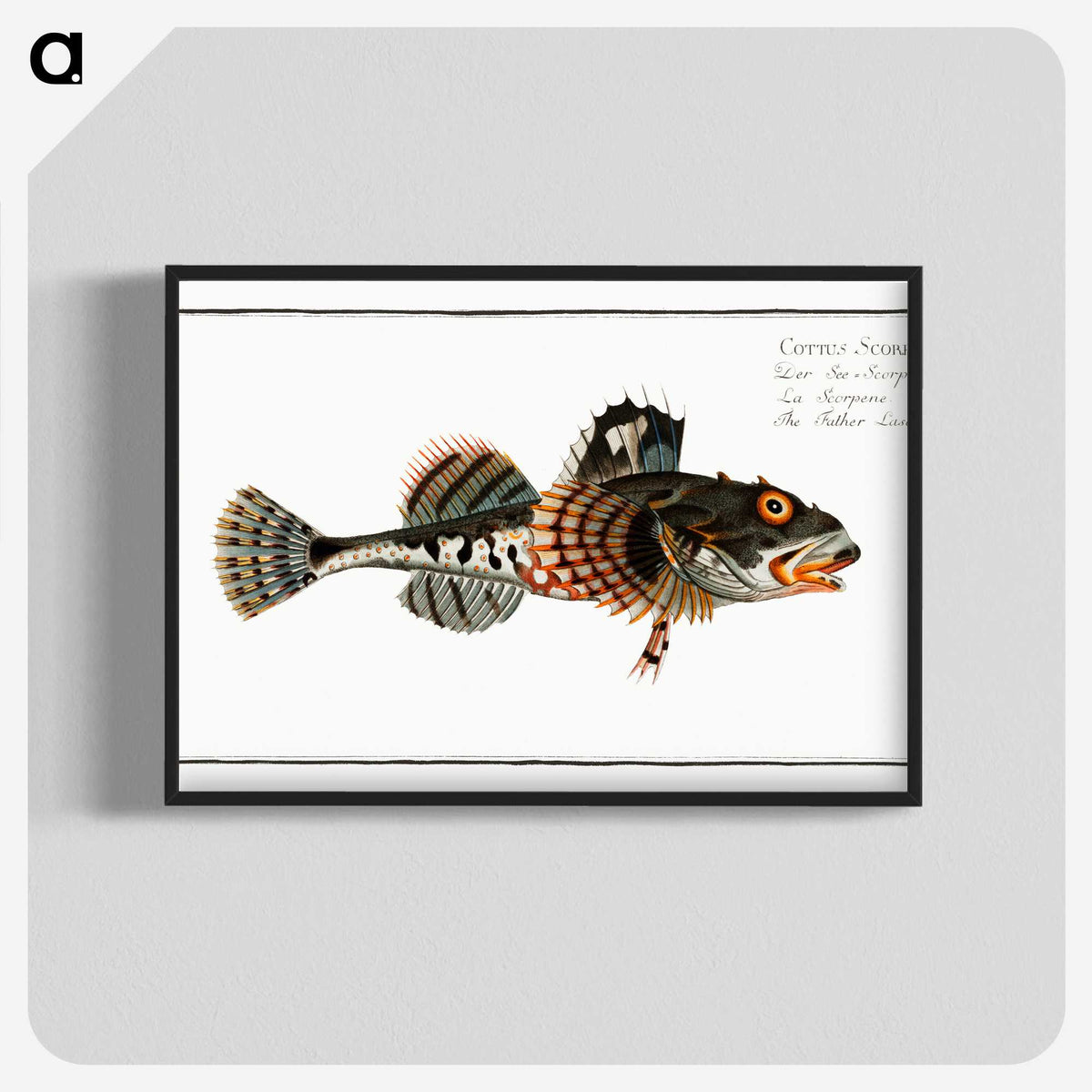 2-50_Ichtyologie-ou-Histoire-naturelle_blk-crop