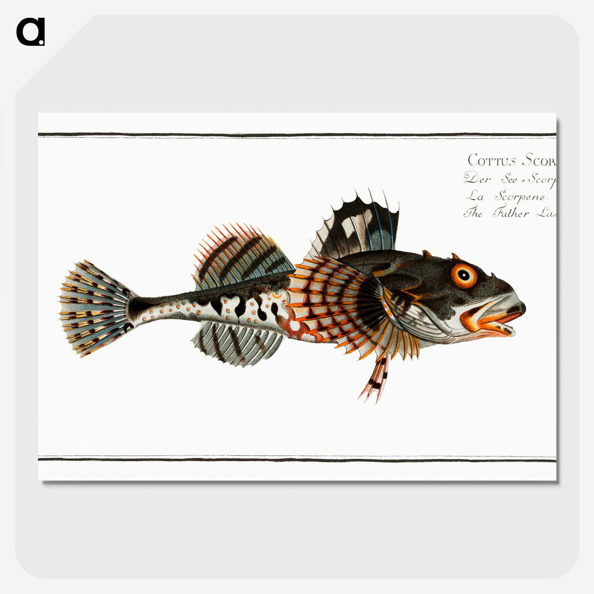 2-50_Ichtyologie-ou-Histoire-naturelle_picture-crop