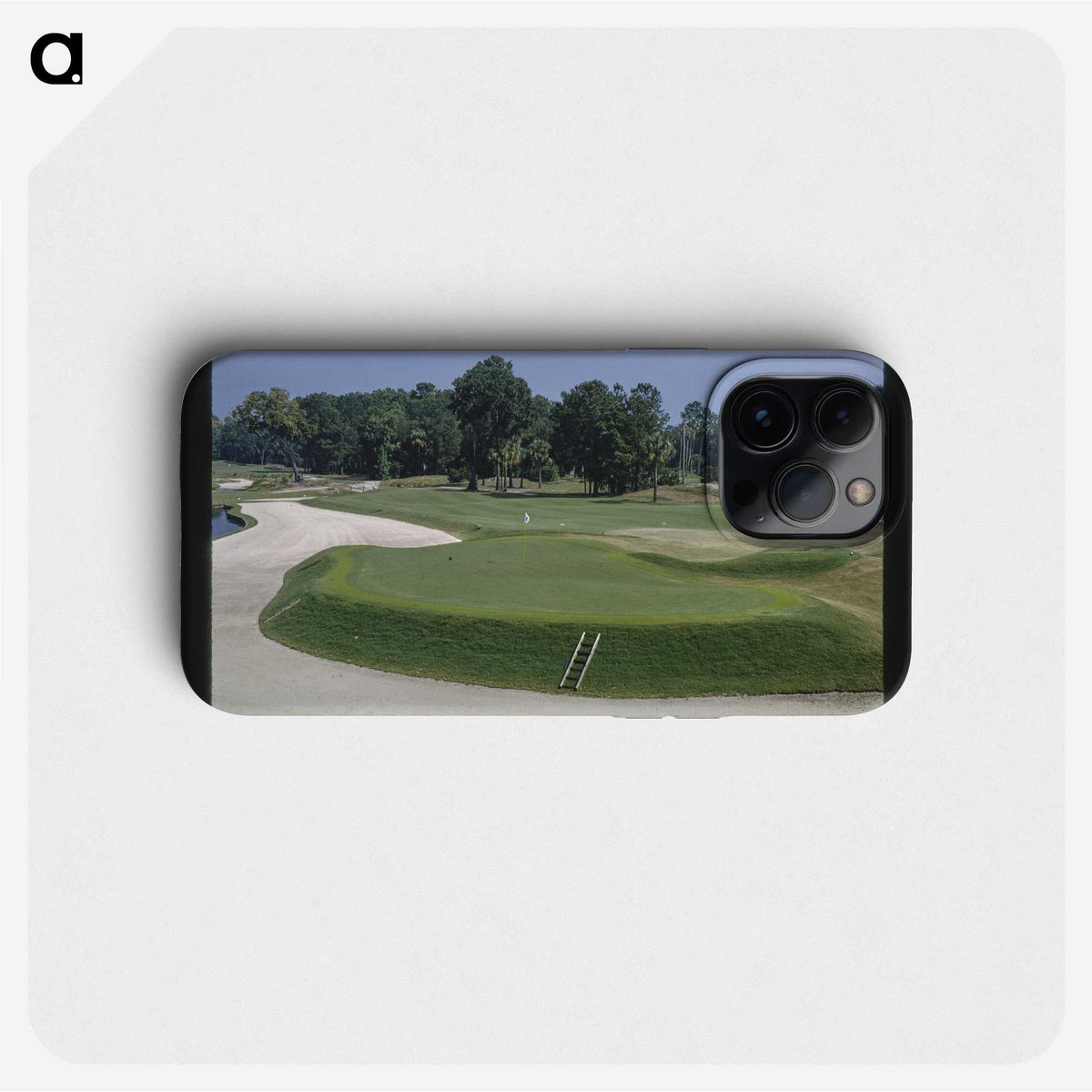 2-50_John-Margolies_phone