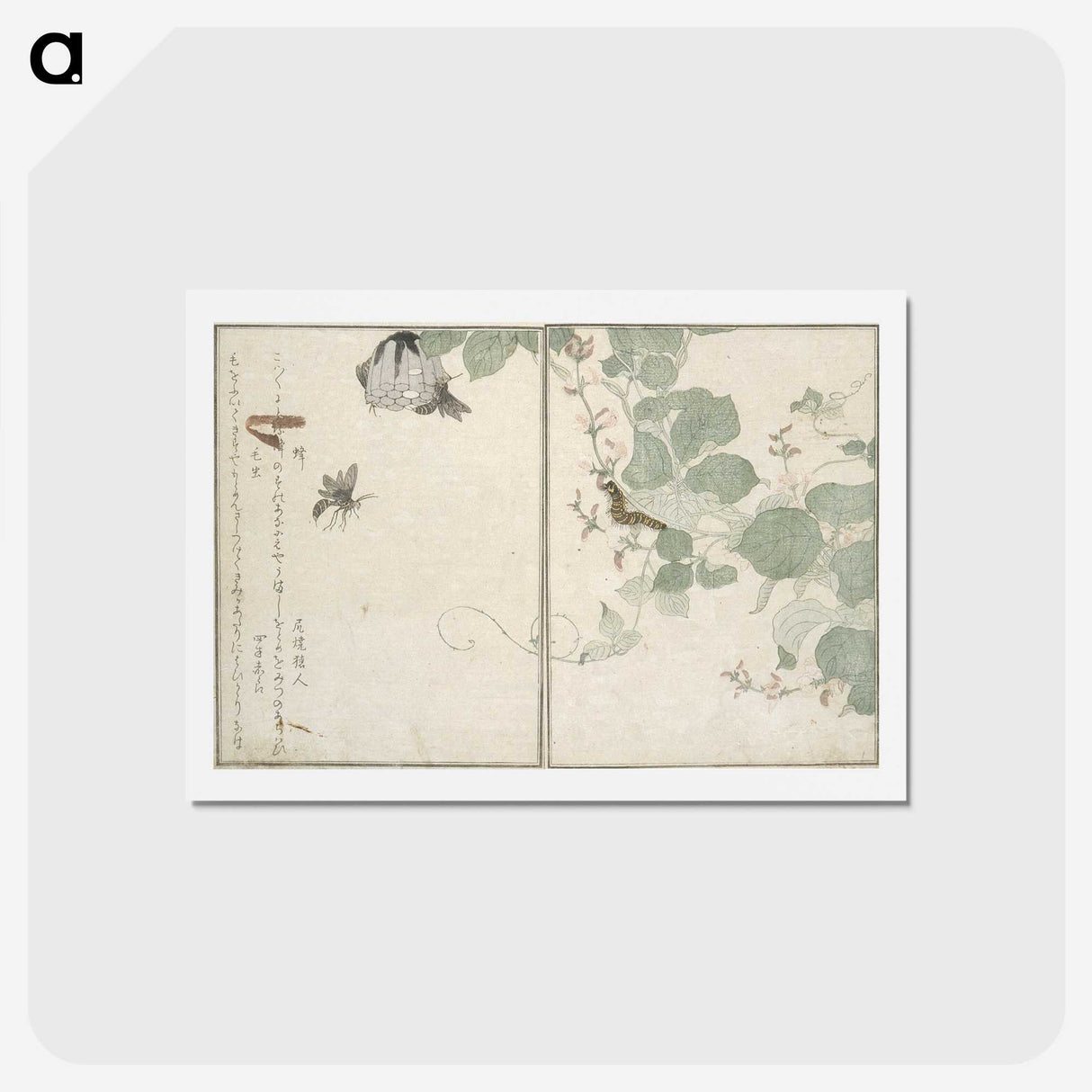 2-50_Kitagawa-Utamaro_hagaki